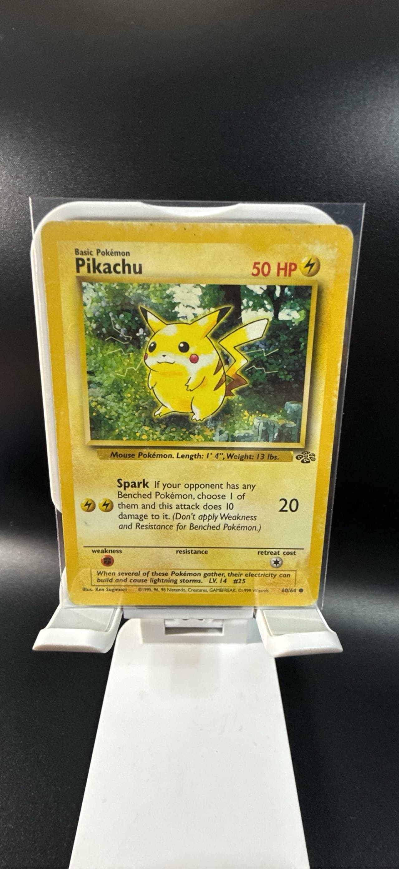 pokemon card 60 64 Jungle Pikachu #60/64 PSA Authentic AUTO 9 Trading (Signe Rotterdam Comics Colorless Artist Ruler of the Skies -