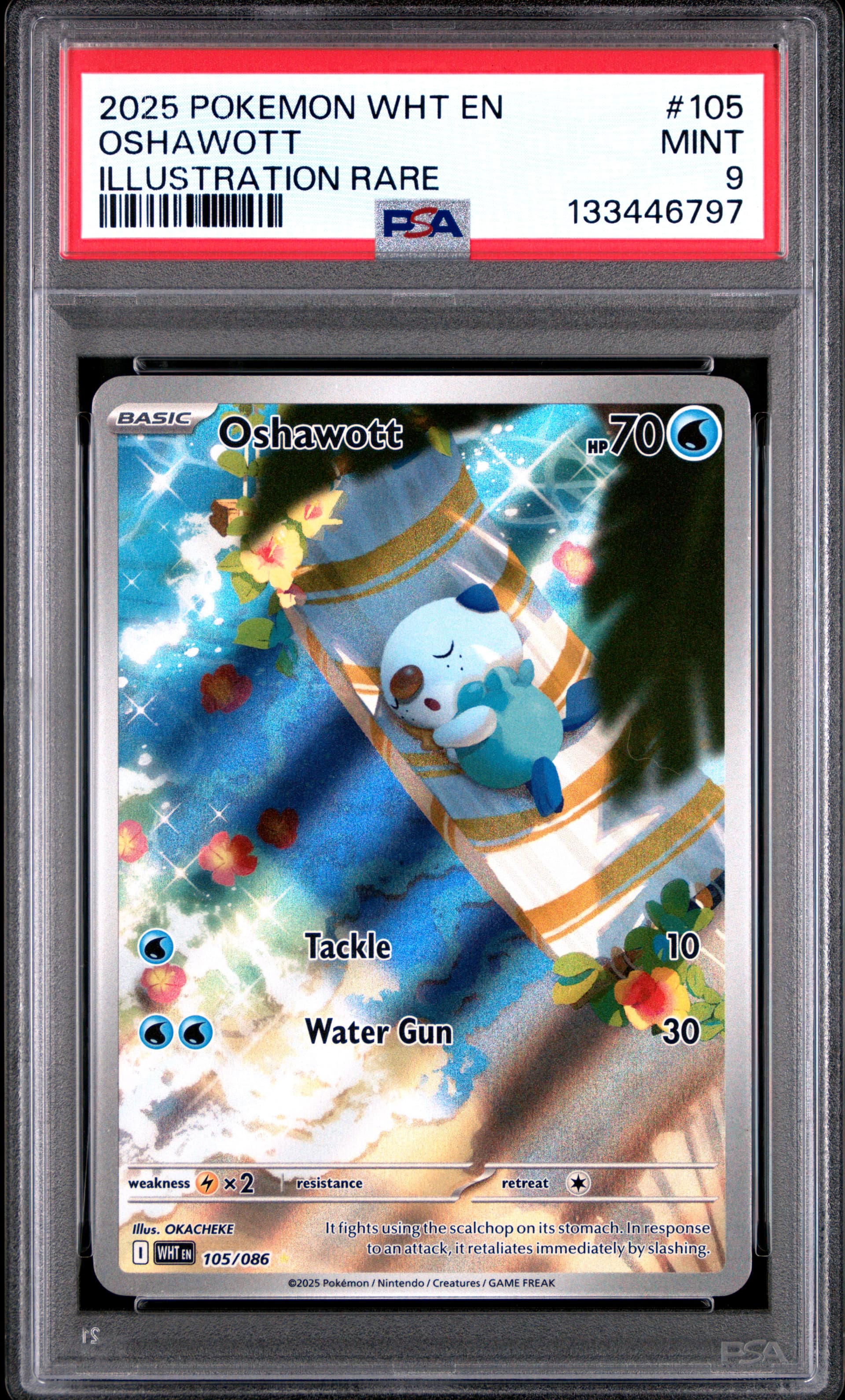 Oshawott Illustration Rare (105) 2025 Pokemon Wht EN-White Flare - Pokmon Card Data Oshawott Illustration Rare (105) 2025 Pokemon Wht EN-White Flare - Pokmon Card Data
