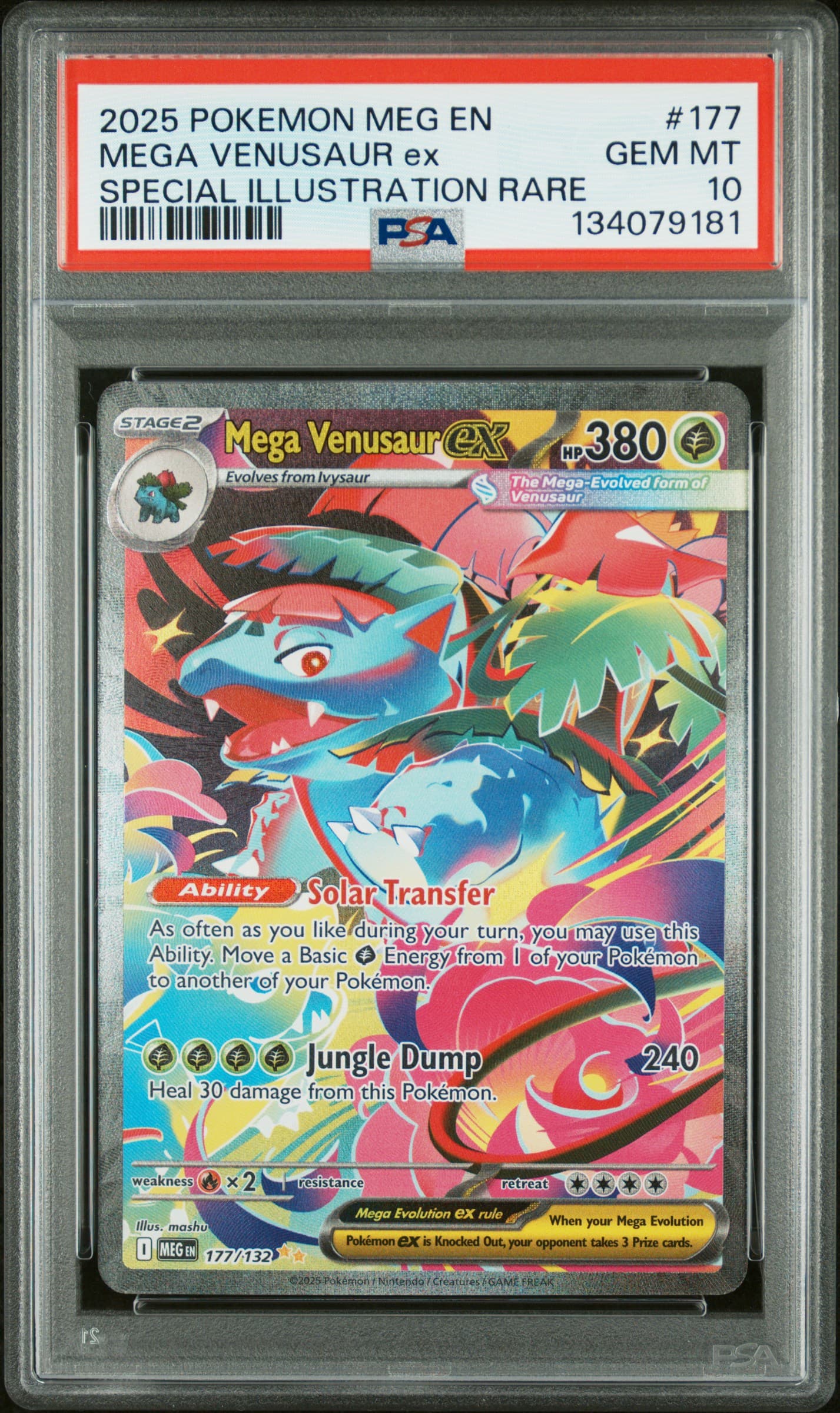 pokemon cards mega venusaur ex POKEMON MEGA VENUSAUR EX PREMIUM BOX