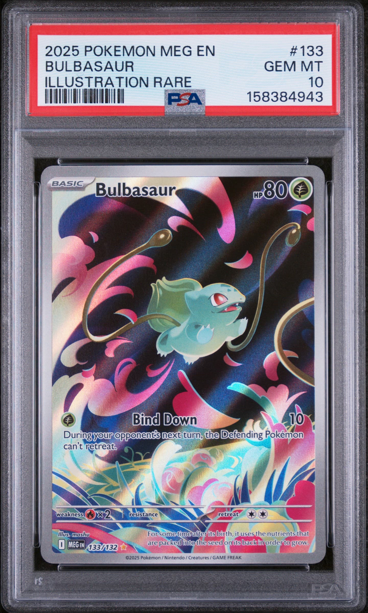 rare bulbasaur pokemon card - 143/142 Stellar Crown style setup or your main portfolio Demigodmoki pulls rare Bulbasaur card