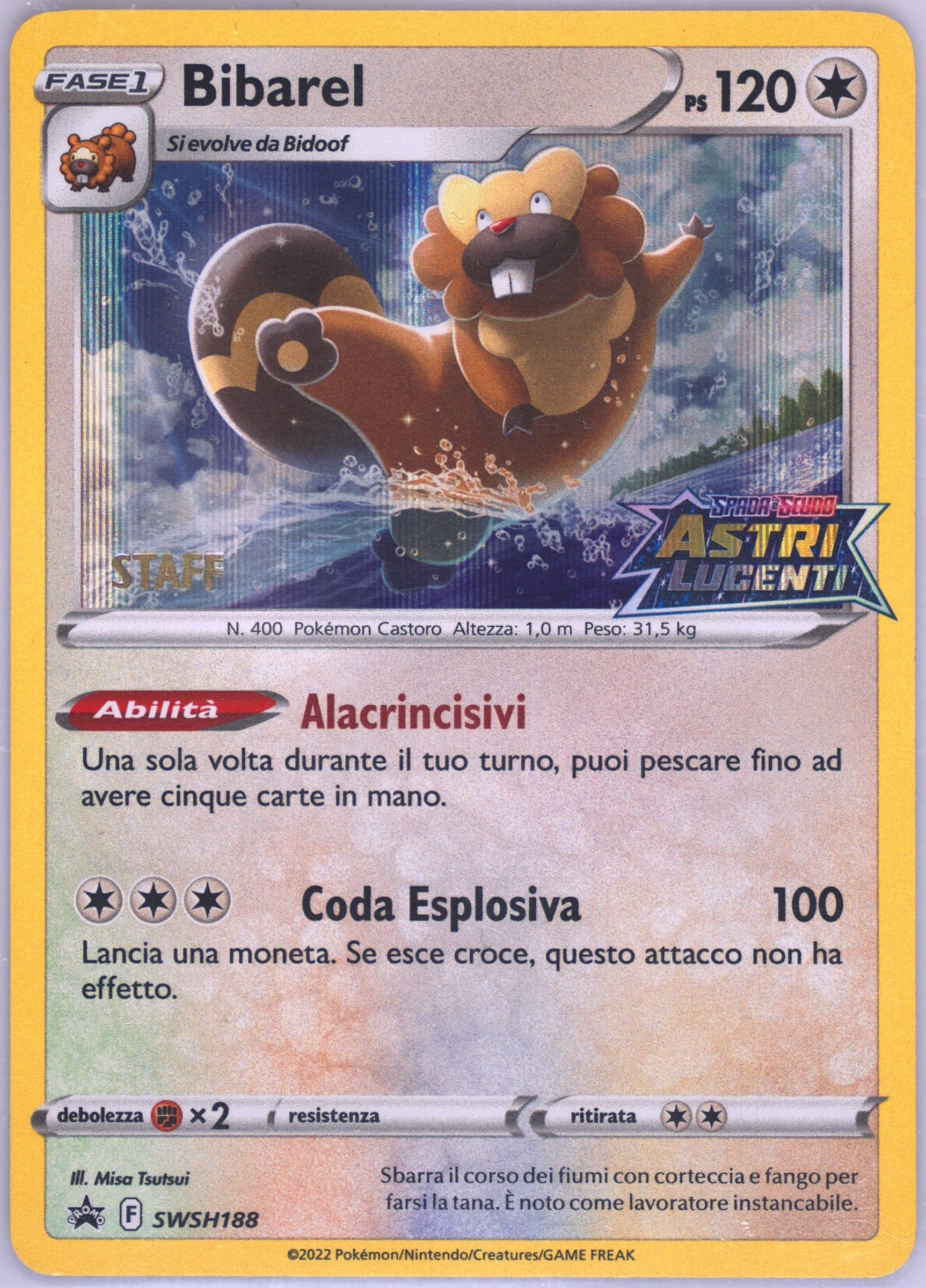 Bibarel-Holo Prerelease-Staff-Italian (188) 2023 Pokemon Swsh Black Star Promo