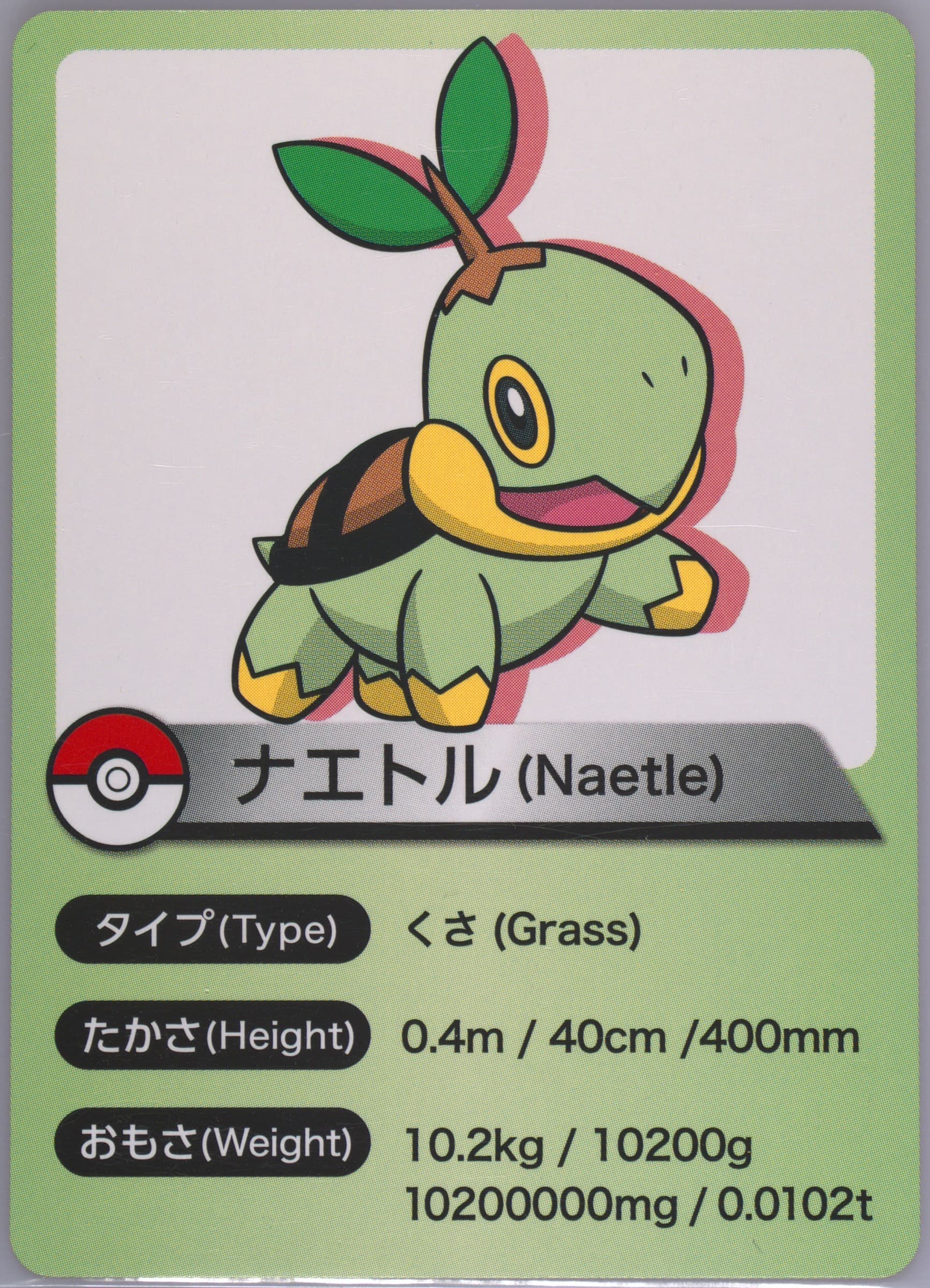 Turtwig 2022 Smile Zemi X Pokemon Collaboration
