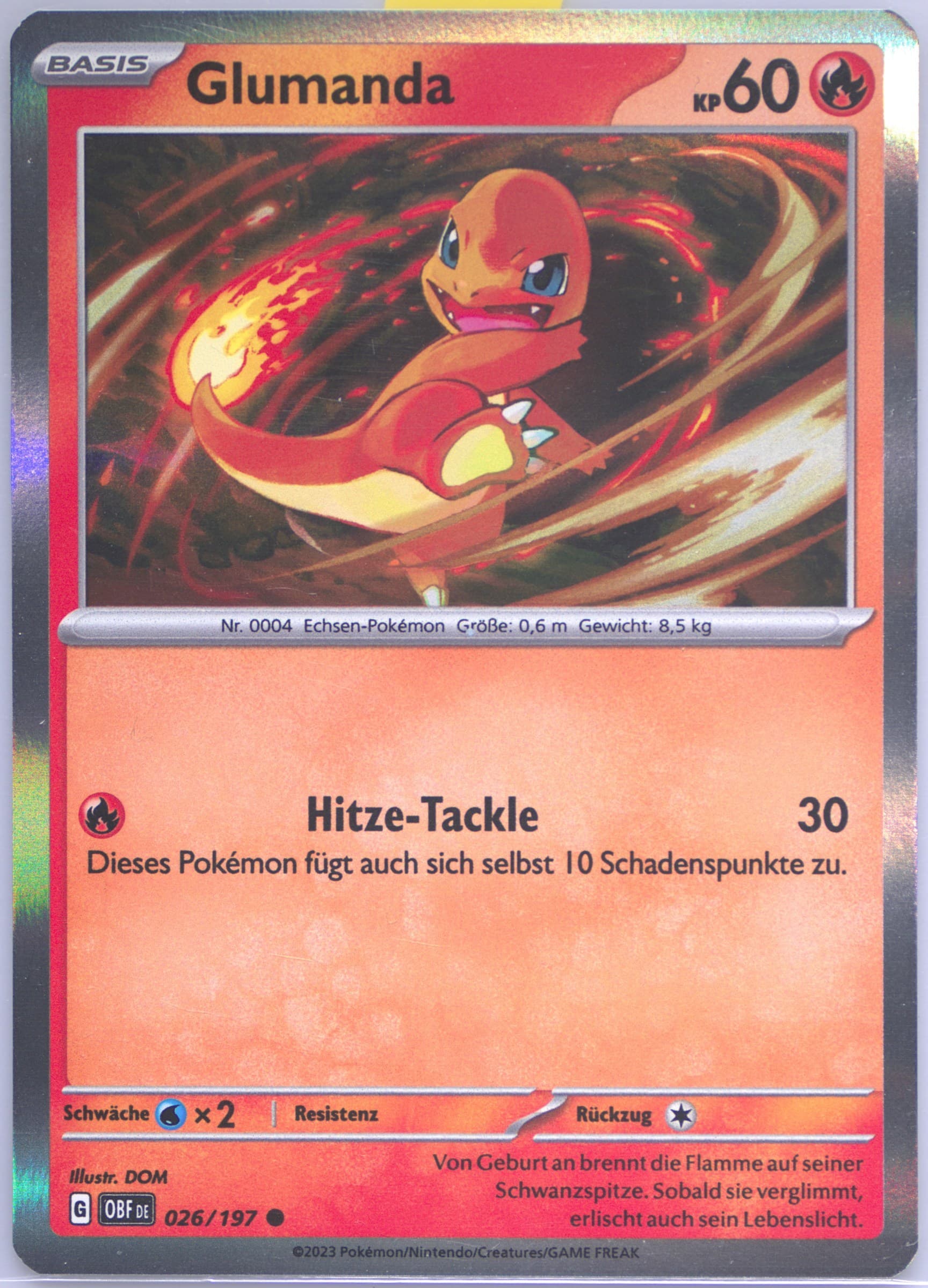 Charmander Charizard EX Premium Collection (026) 2023 Pokemon German Obf de-Obsidian Flames