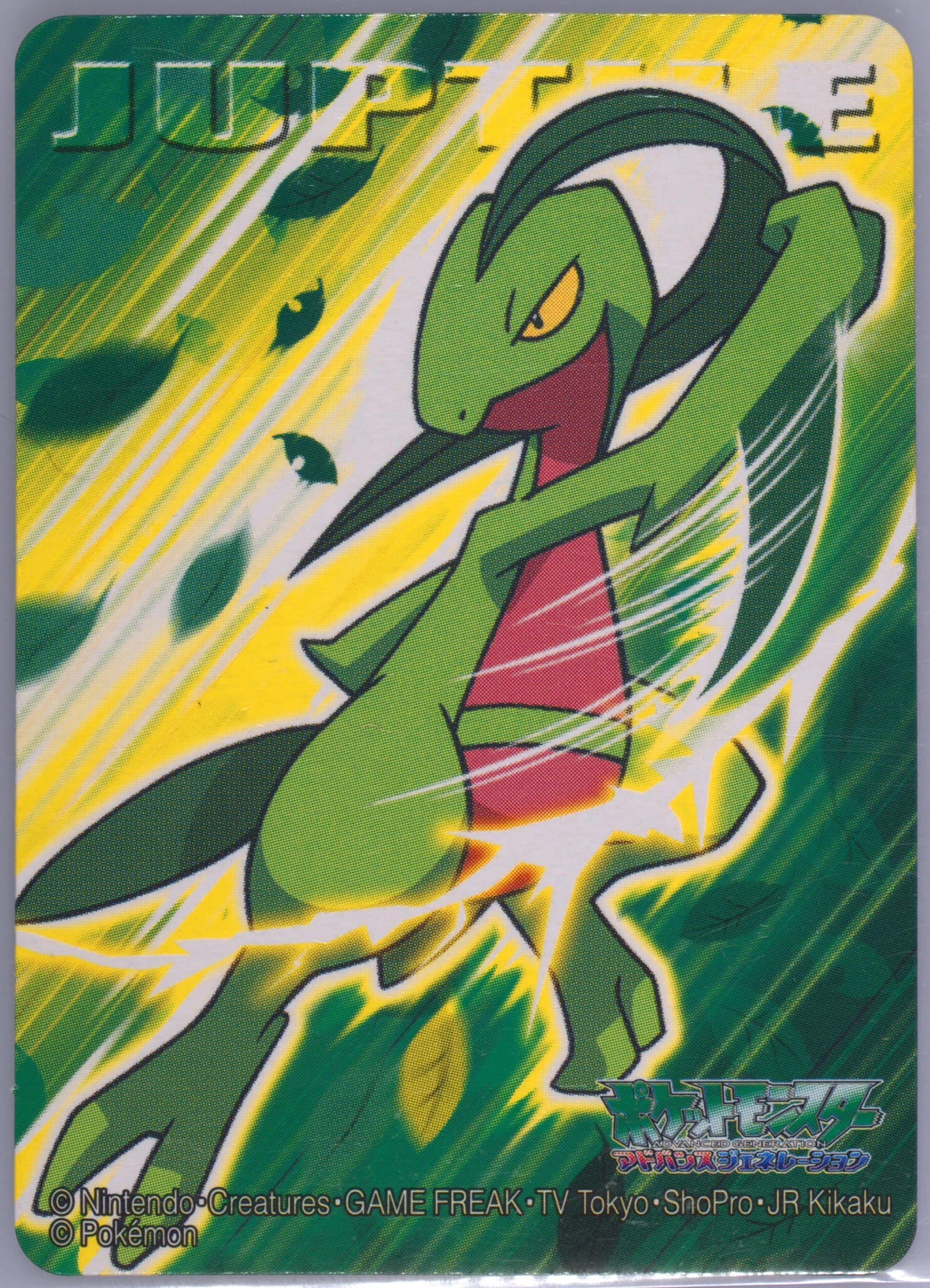 Grovyle (281) 2005 Kimewaza Pokemon Kids