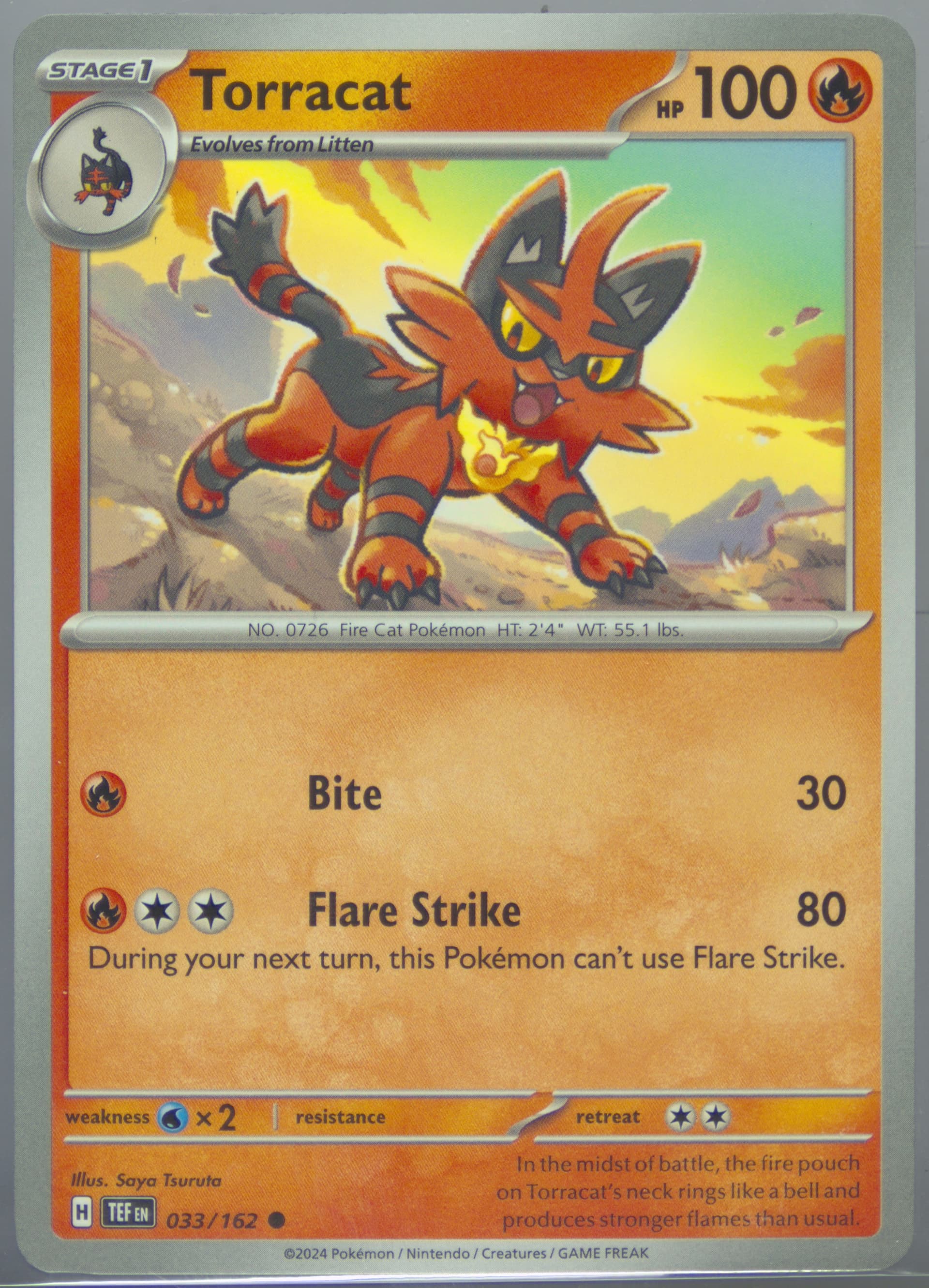 Torracat (033) 2024 Pokemon Tef EN-Temporal Forces