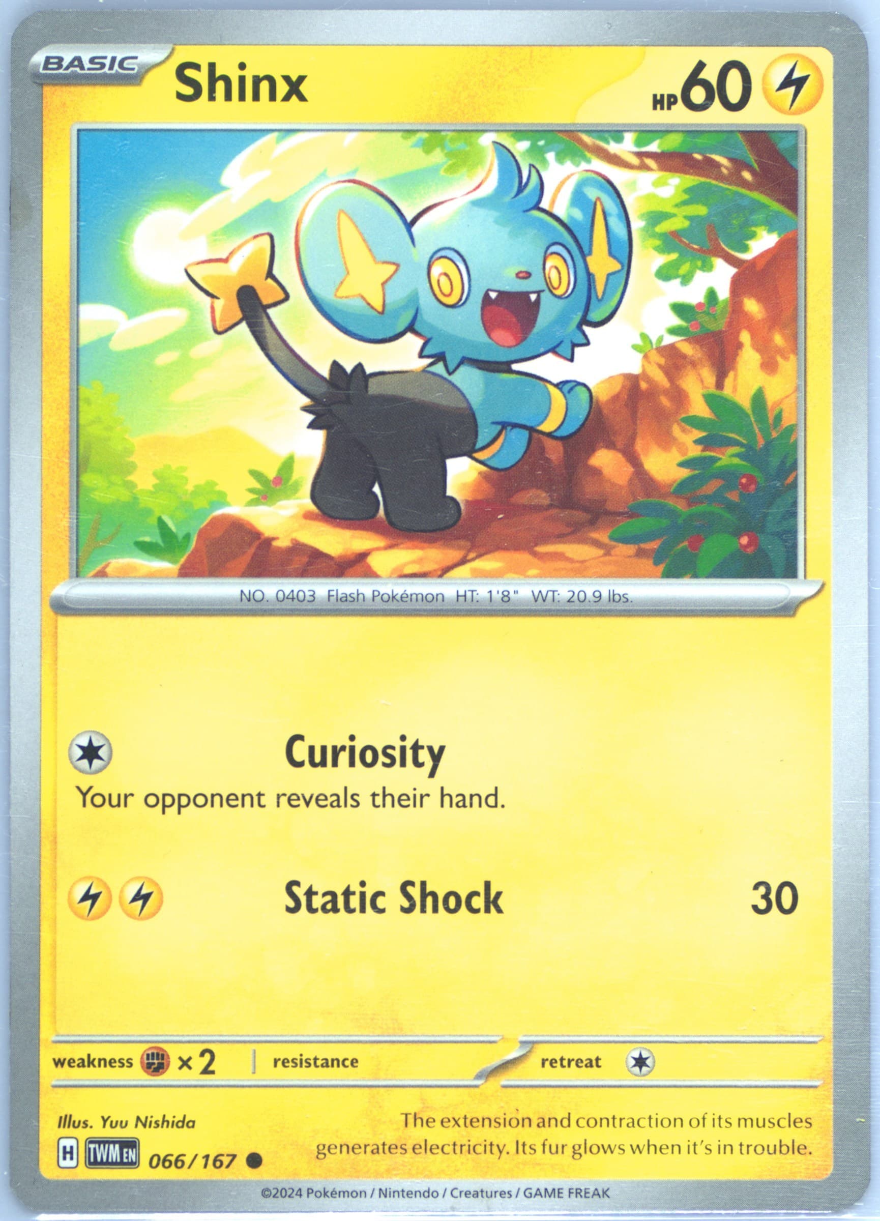 Shinx (066) 2024 Pokemon Twm EN-Twilight Masquerade