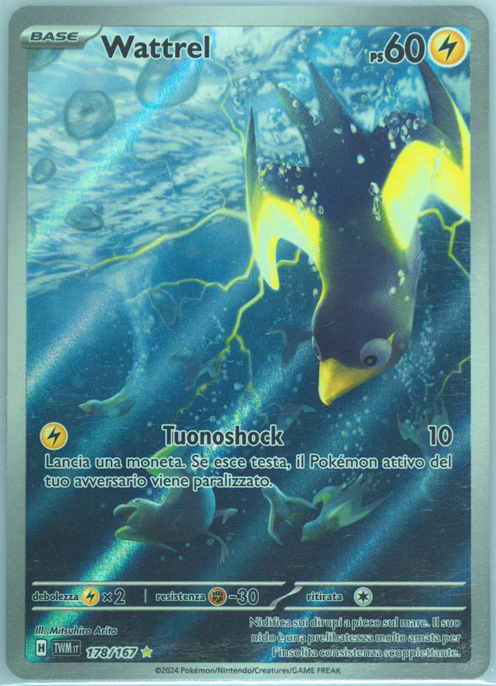 Wattrel Illustration Rare (178) 2024 Pokemon Italian Twm It-Twilight Masquerade