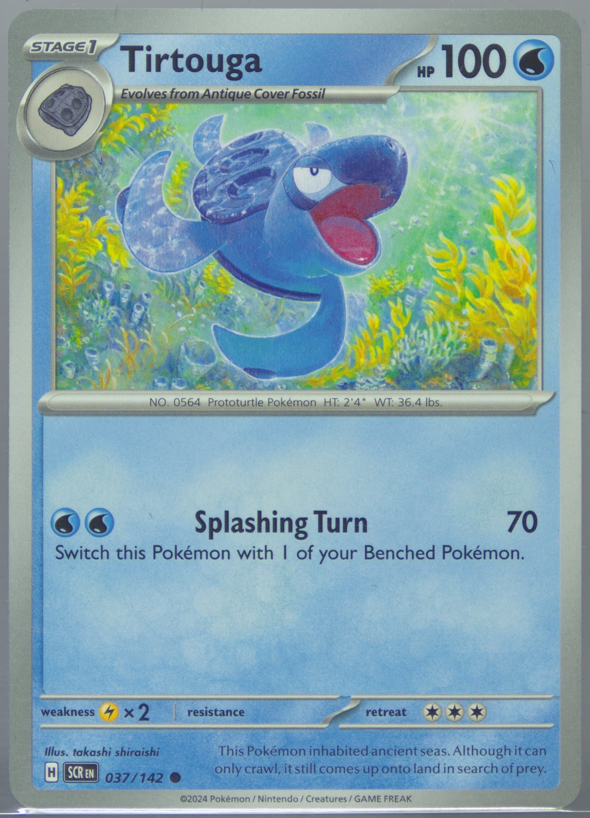 Tirtouga (037) 2024 Pokemon Scr EN-Stellar Crown