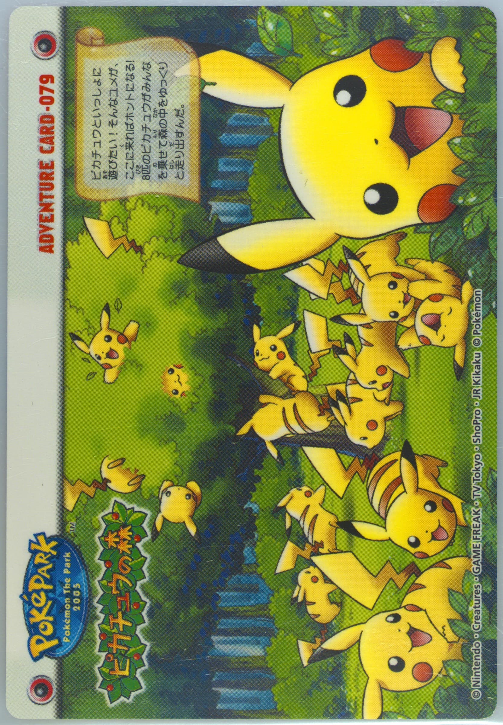 Pikachu Forest (079) 2005 Carddass Pokemon Advanced Generation Zukan Card Adventure Card