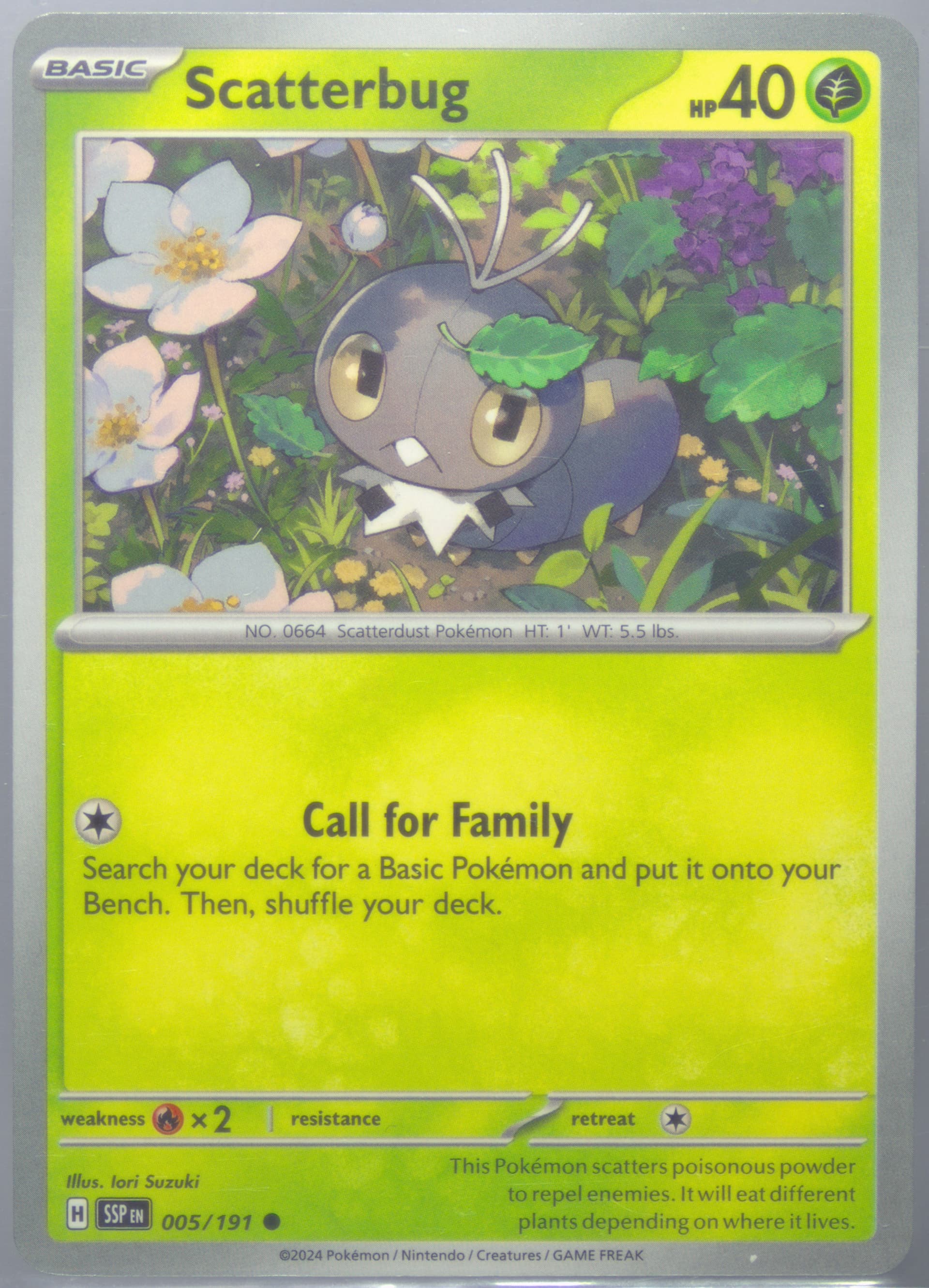 Scatterbug (005) 2024 Pokemon Ssp EN-Surging Sparks