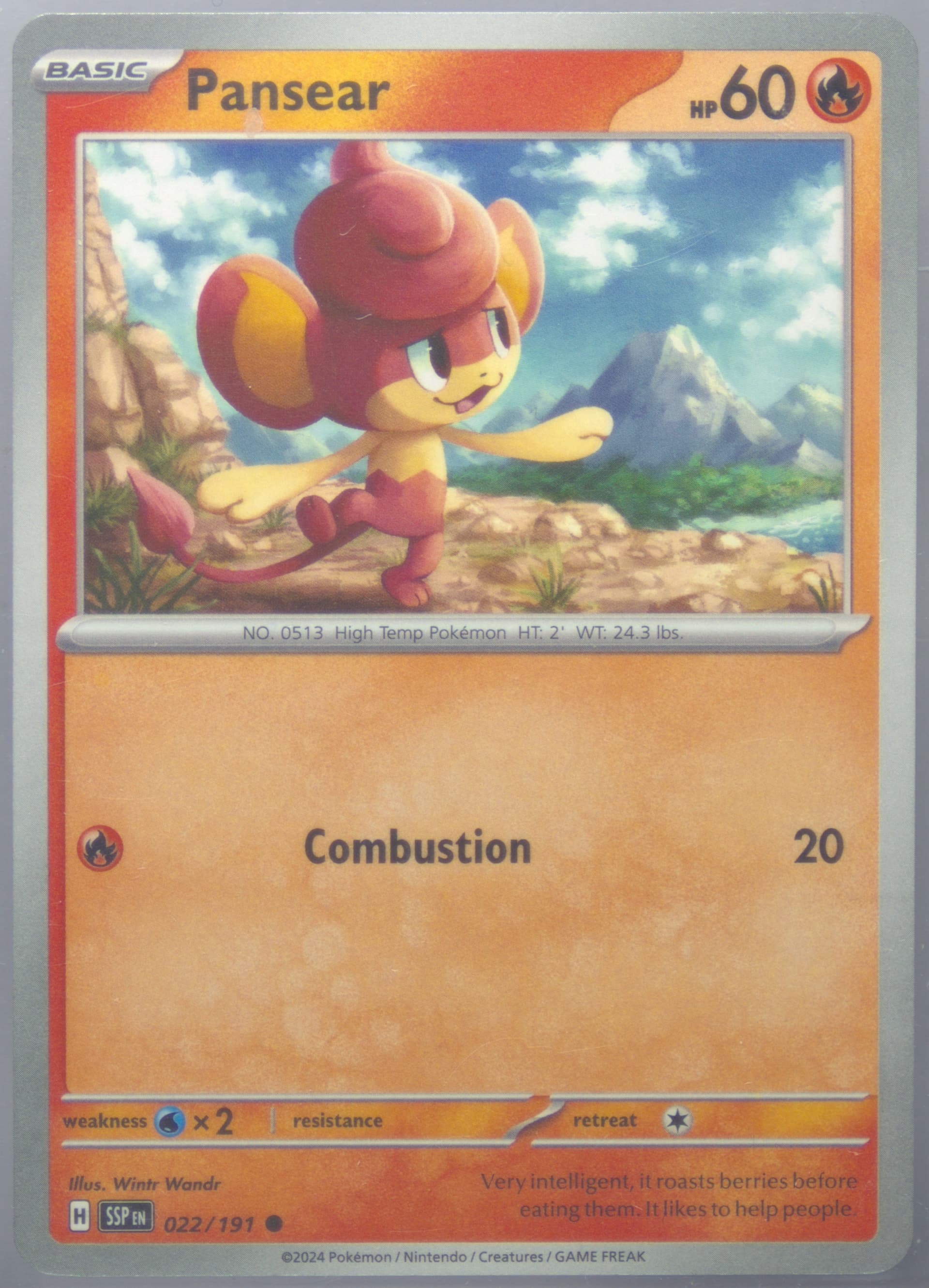 Pansear (022) 2024 Pokemon Ssp EN-Surging Sparks