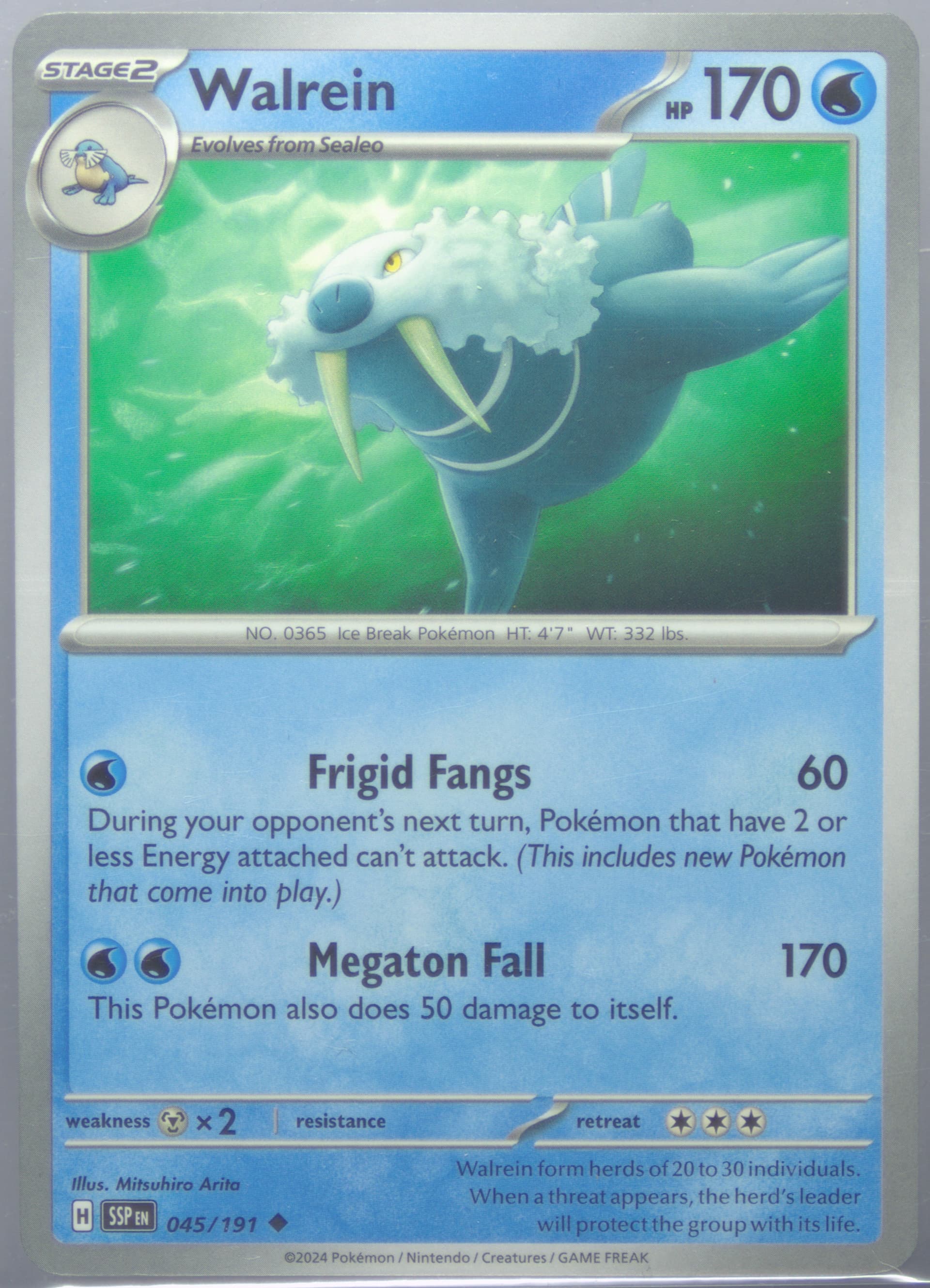 Walrein (045) 2024 Pokemon Ssp EN-Surging Sparks