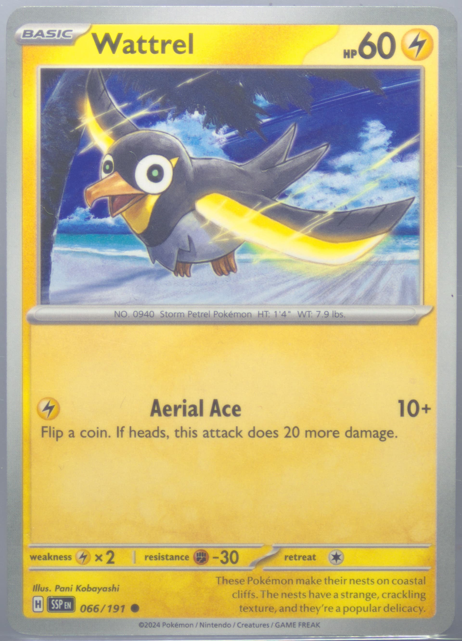 Wattrel (066) 2024 Pokemon Ssp EN-Surging Sparks