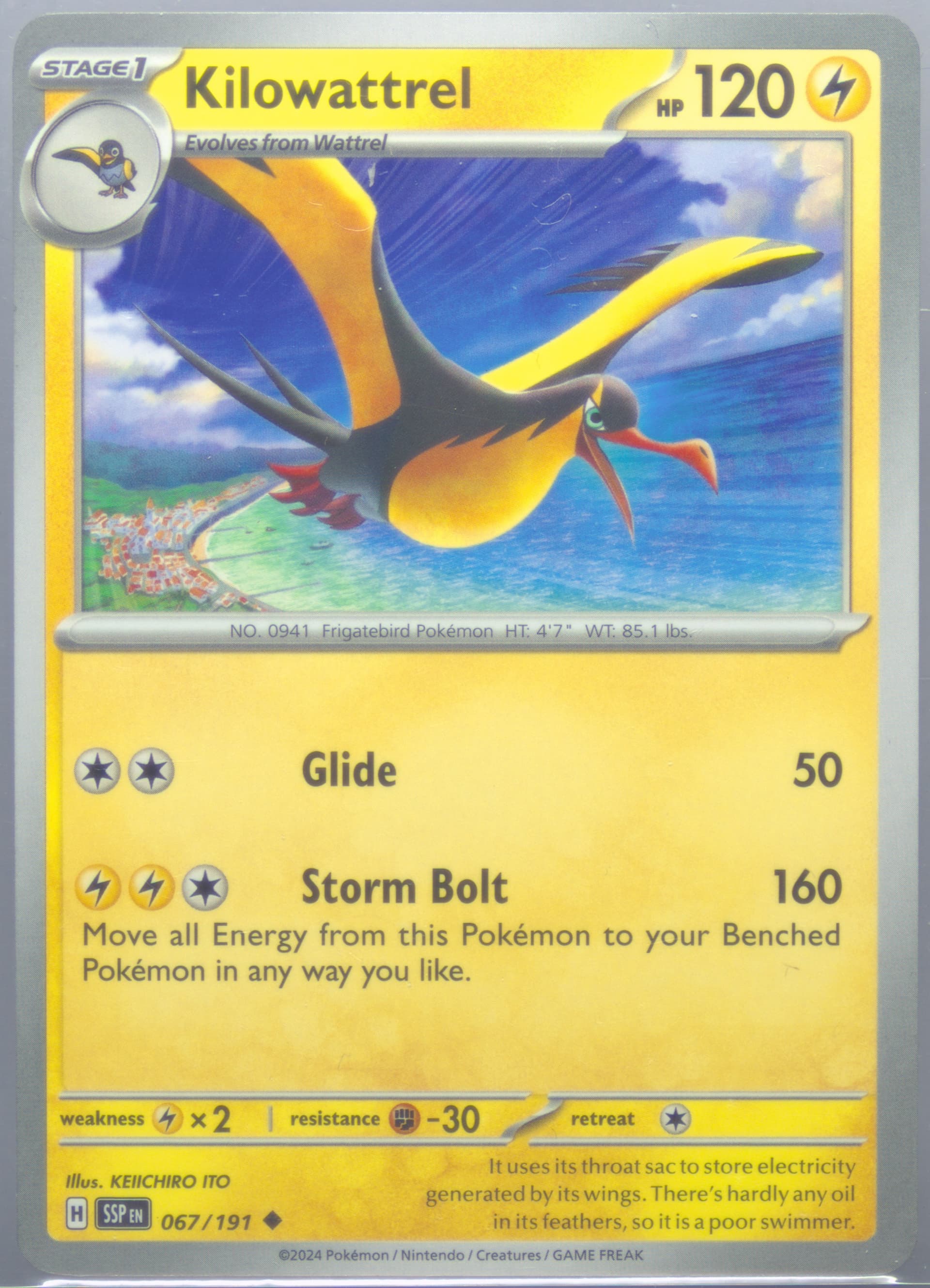 Kilowattrel (067) 2024 Pokemon Ssp EN-Surging Sparks