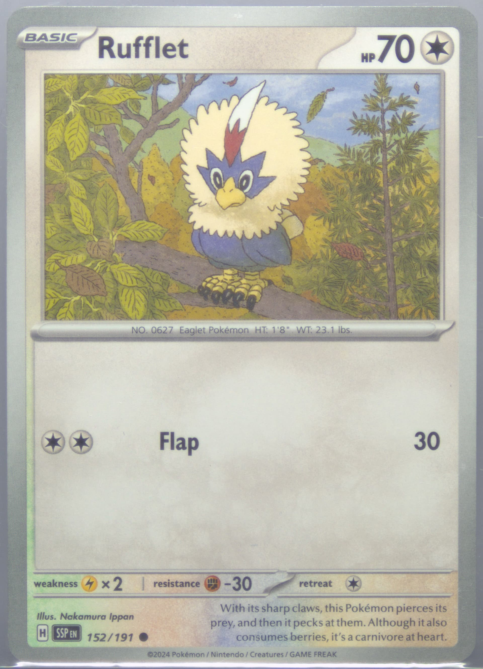 Rufflet (152) 2024 Pokemon Ssp EN-Surging Sparks