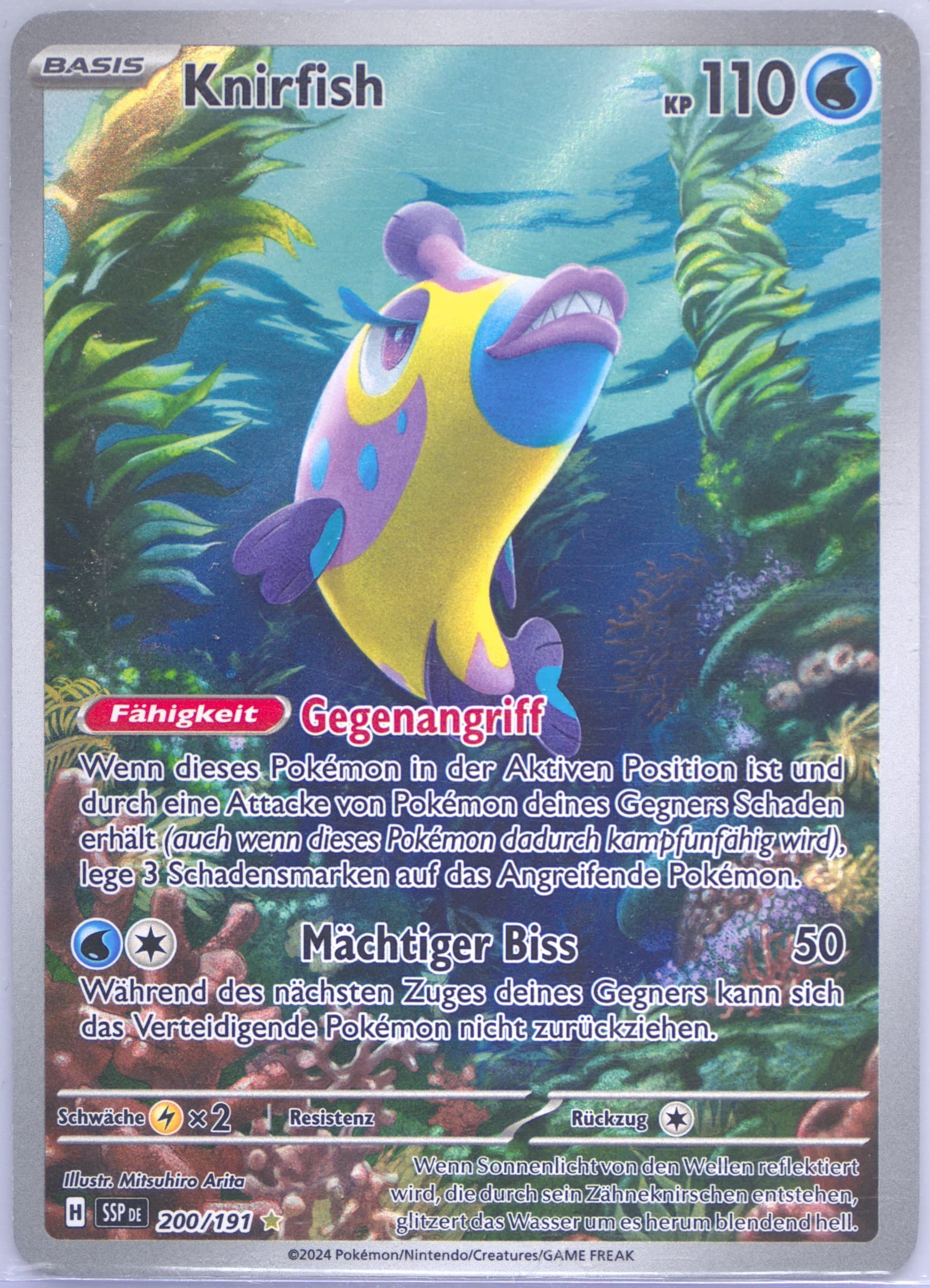 Bruxish Illustration Rare (200) 2024 Pokemon German Ssp de-Surging Sparks