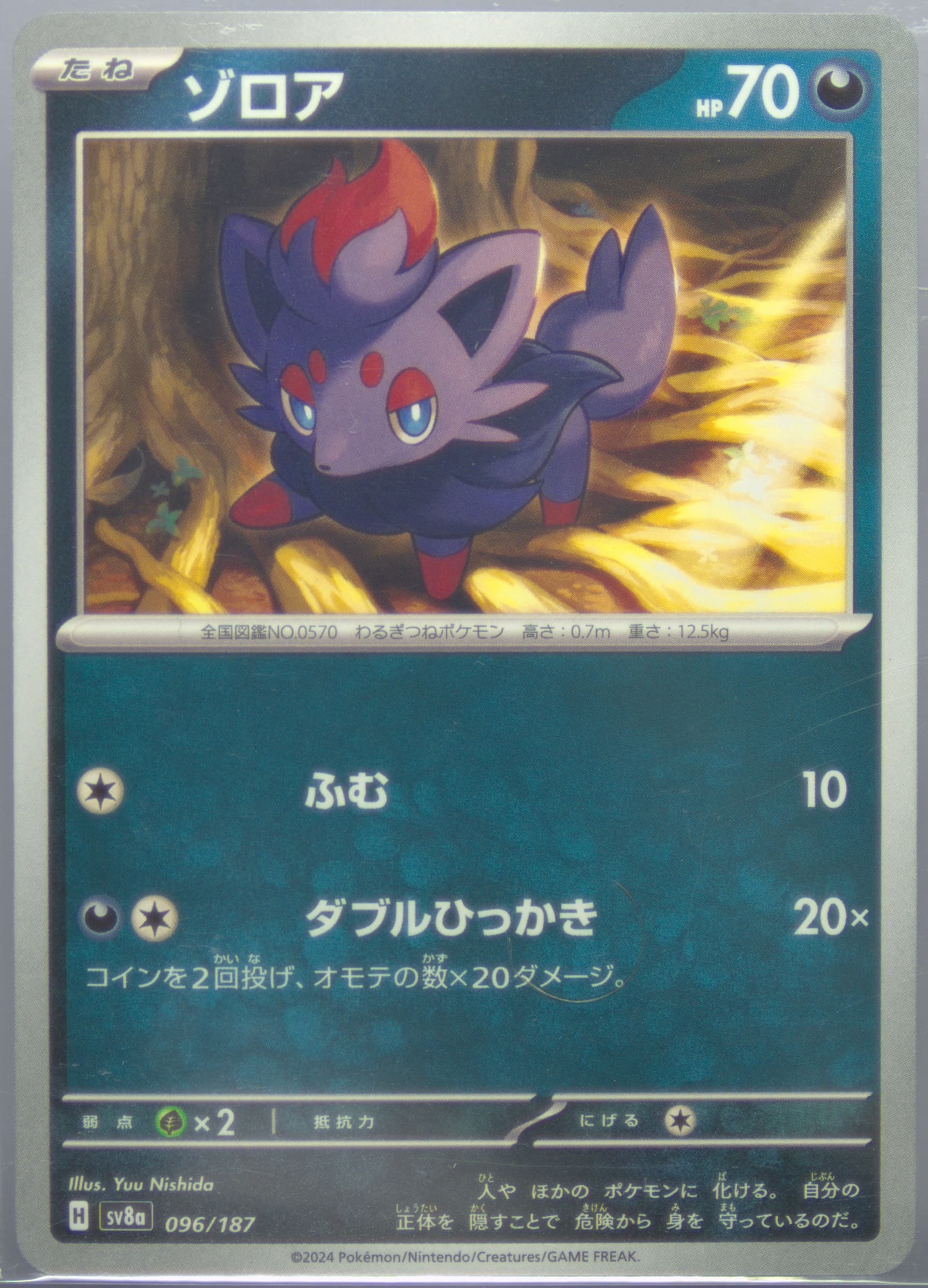 Zorua (096) 2024 Pokemon Japanese Sv8a-Terastal Fest EX