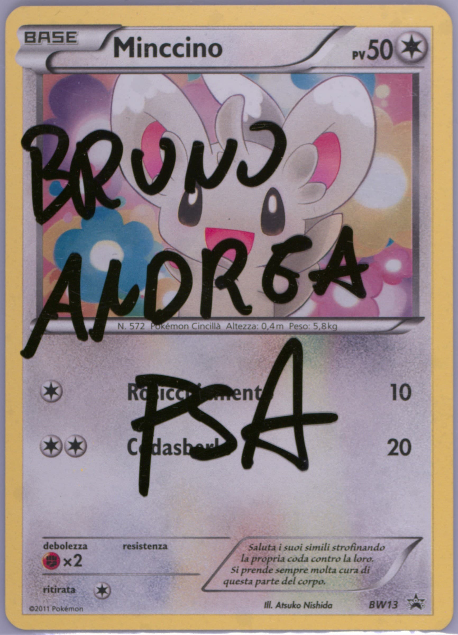 Minccino-Holo Cosmos Holo-Emerging Powers Two Pack Blisters-Italian (BW13) 2013 Pokemon Black & White Promo