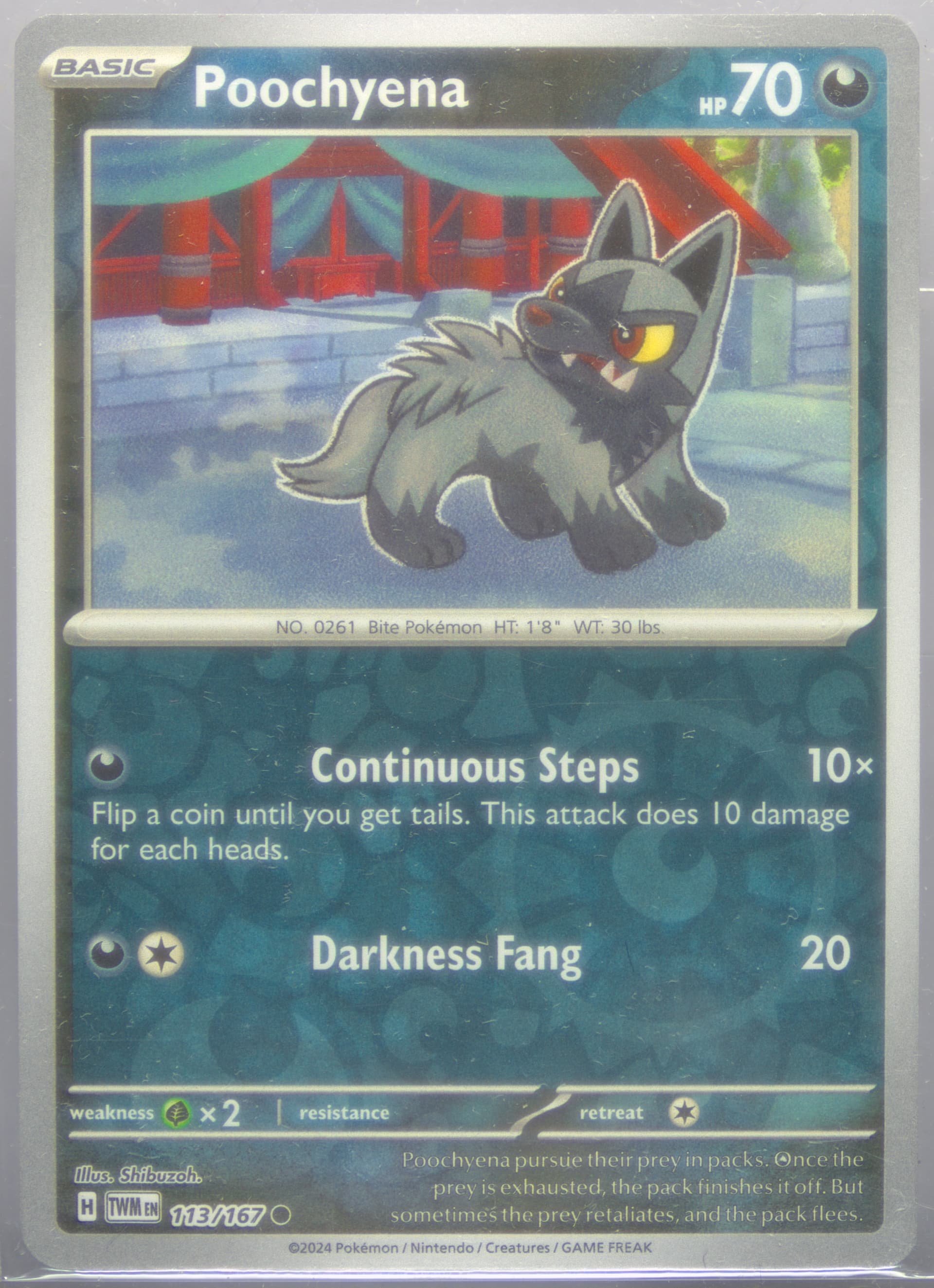 Poochyena Reverse Holo (113) 2024 Pokemon Twm EN-Twilight Masquerade