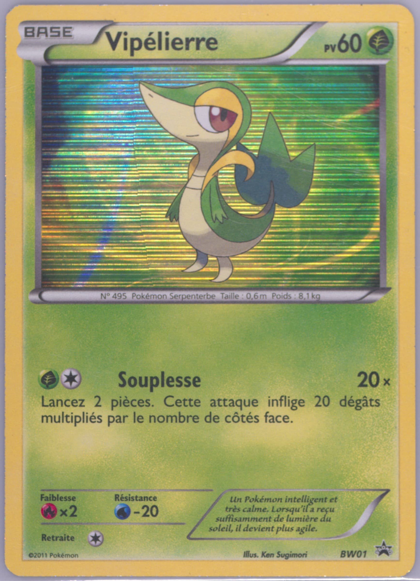 Vipelierre-Holo French (BW01) 2021 Pokemon Sword & Shield Evolving Skies