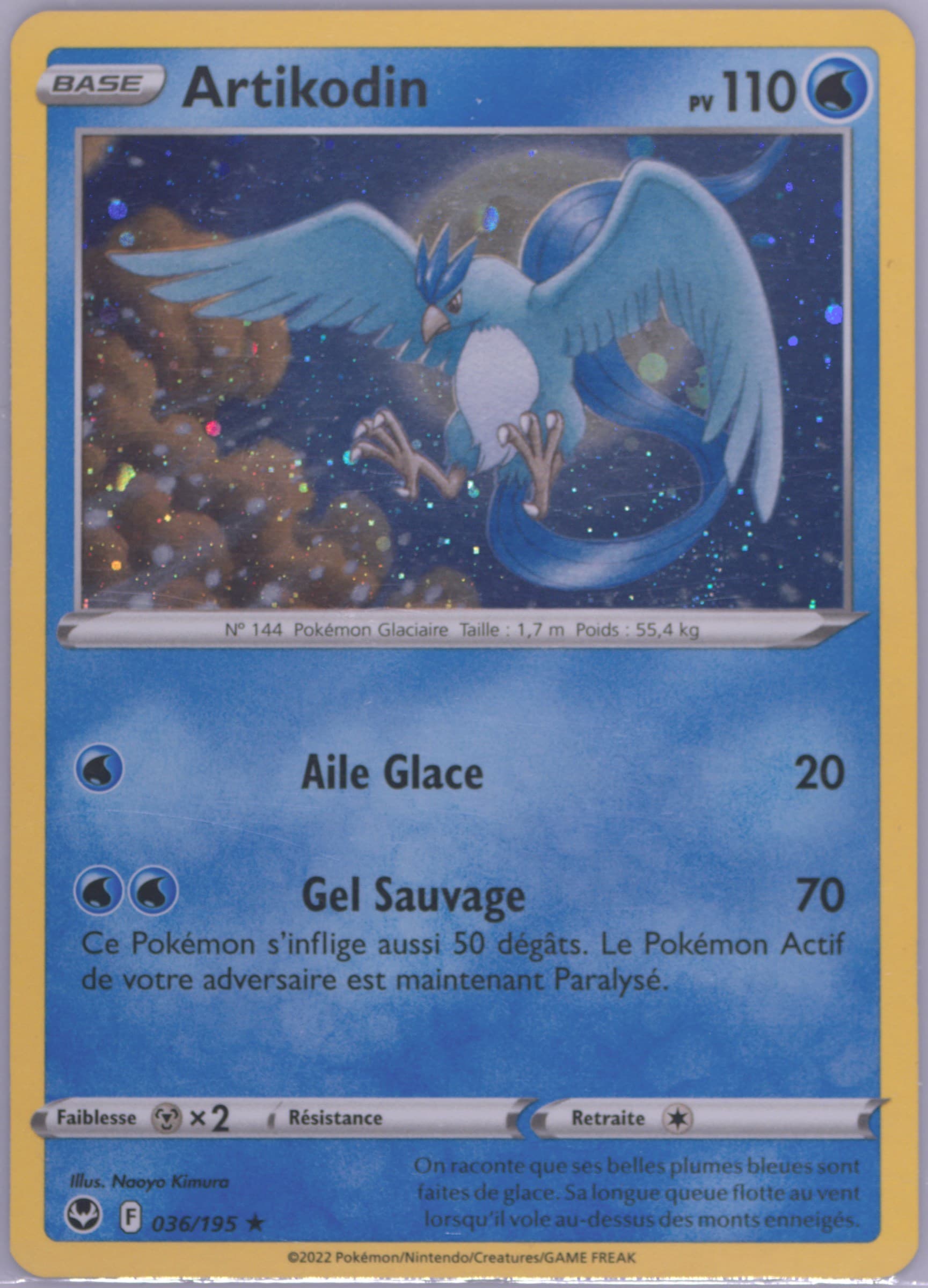Articuno-Holo French (036) 2023 Pokemon Sword and Shield Silver Tempest Two Pack Blister