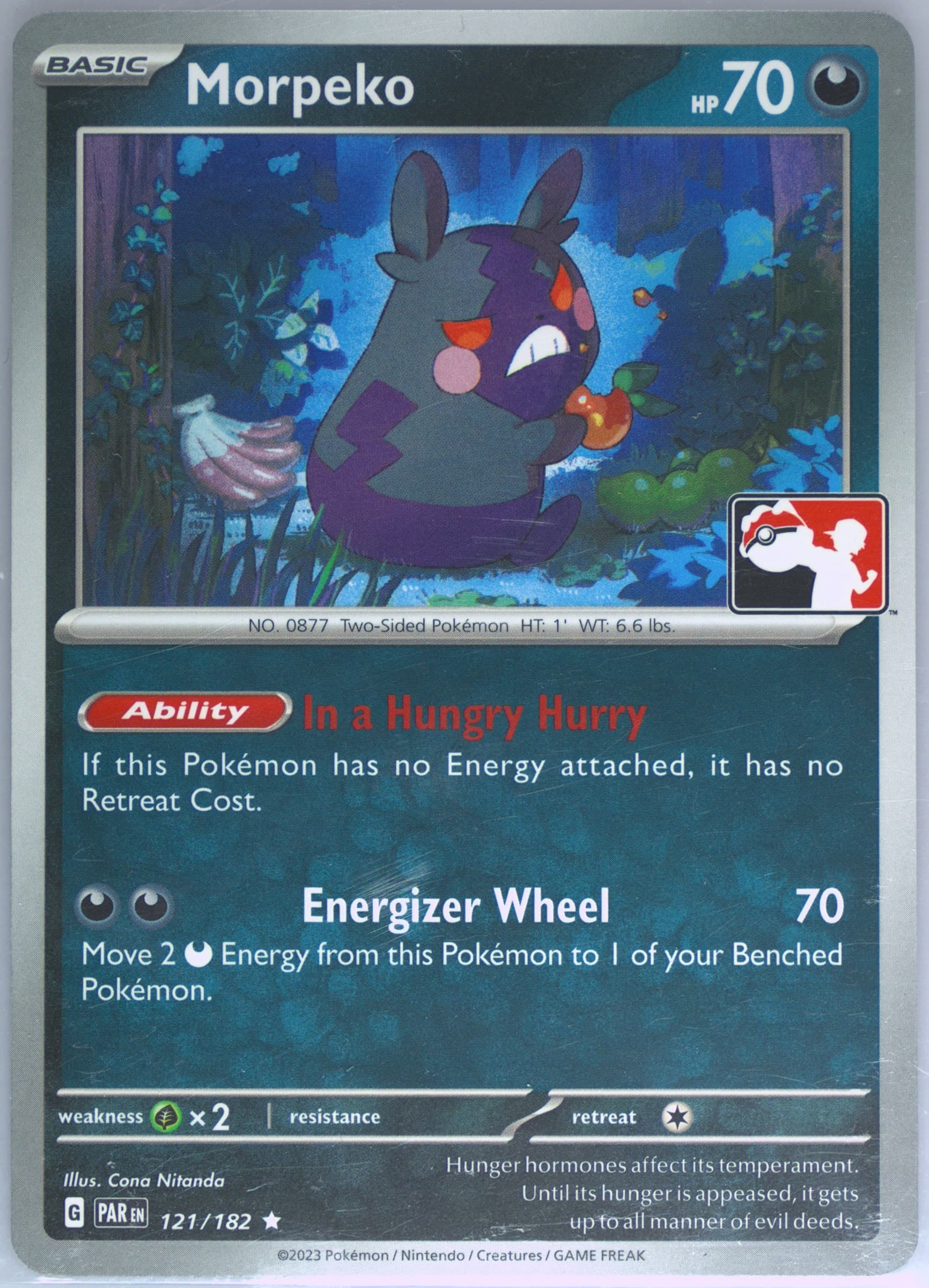 Morpeko (121) 2024-2025 Pokemon Play! Pokemon Prize Pack