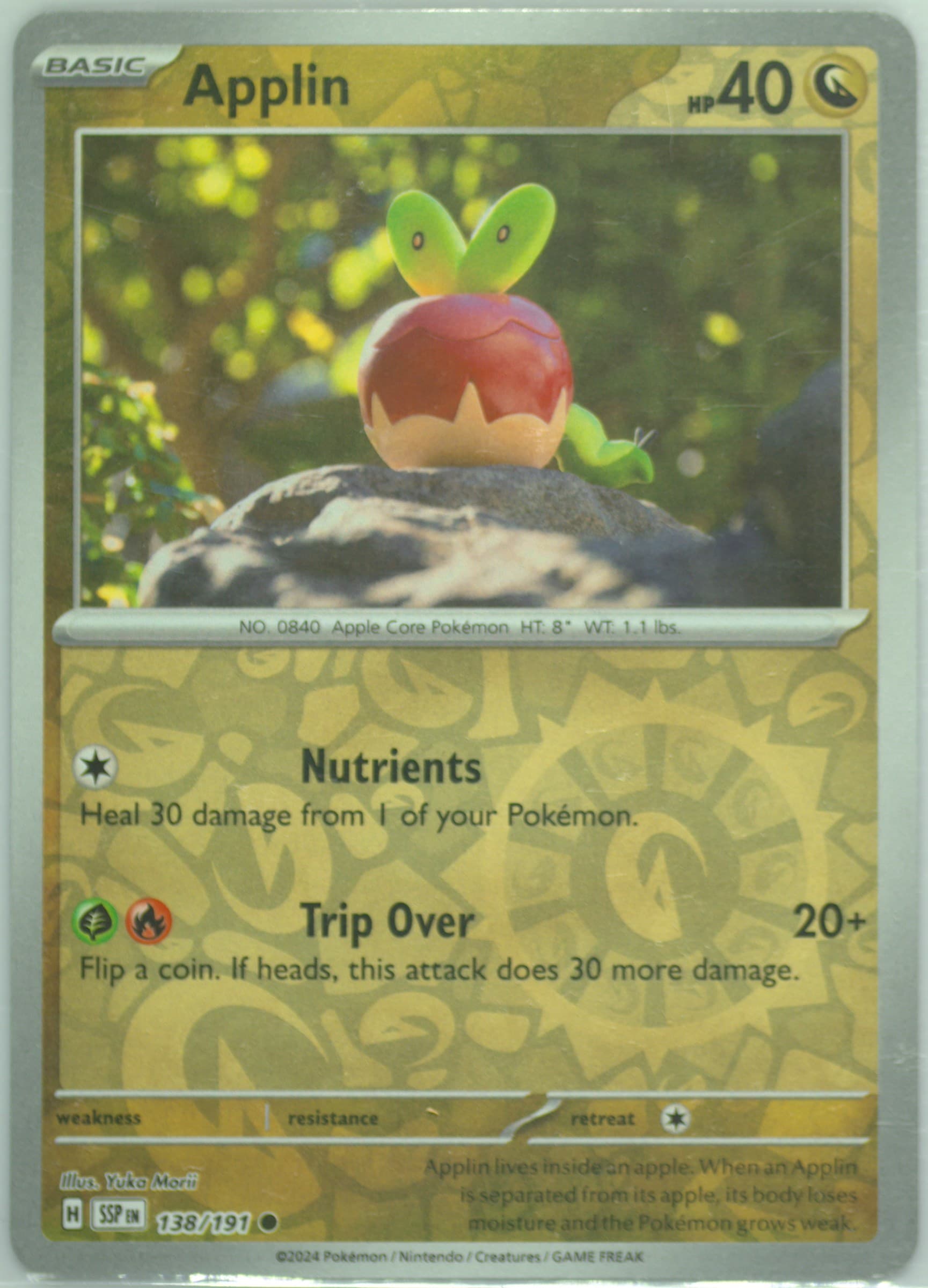 Applin Reverse Holo (138) 2024 Pokemon Ssp EN-Surging Sparks