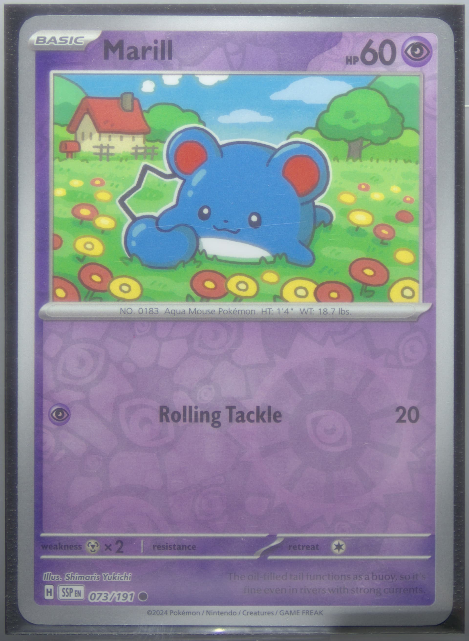 Marill Reverse Holo (073) 2024 Pokemon Ssp EN-Surging Sparks