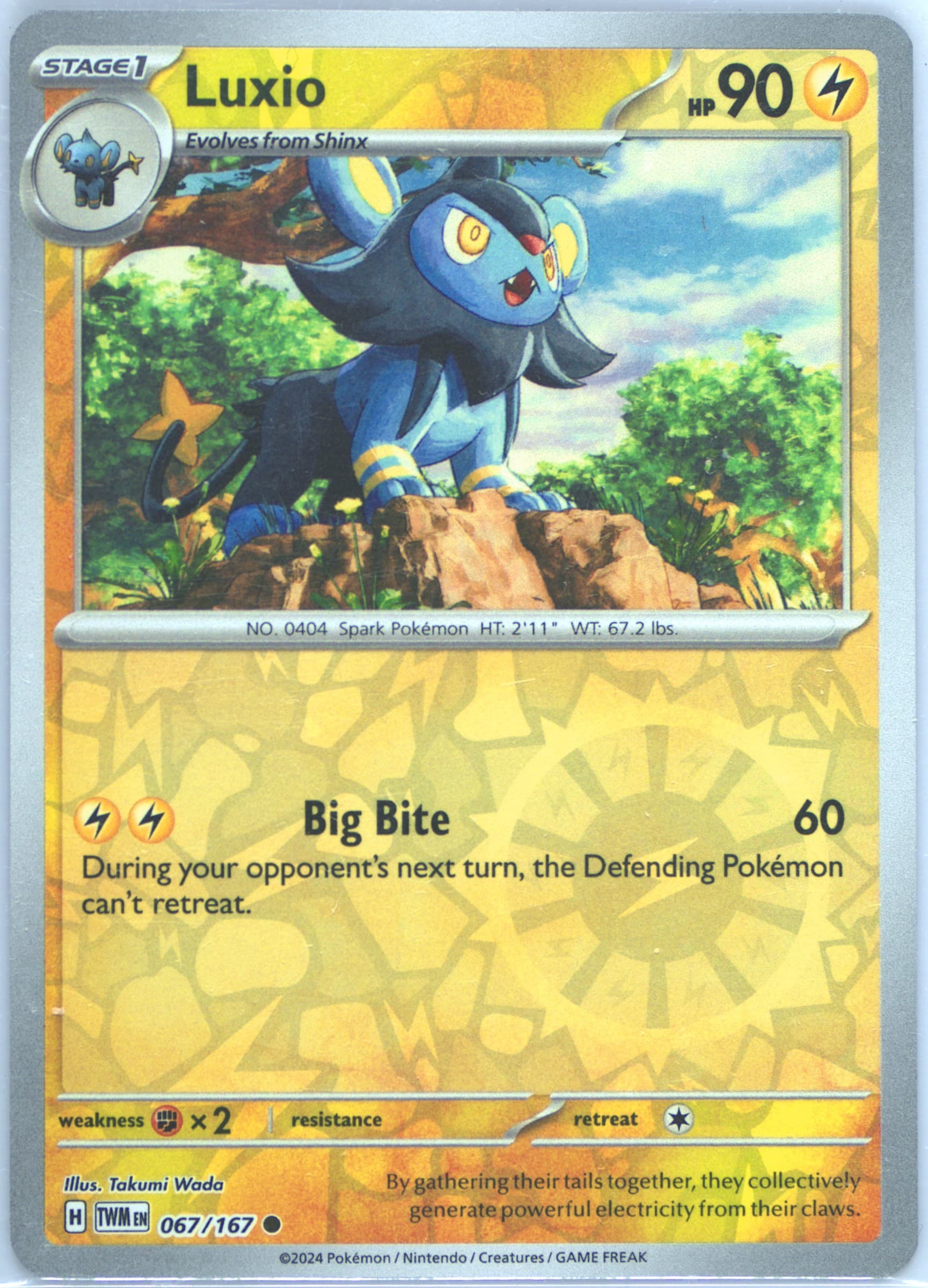 Luxio Reverse Holo (067) 2024 Pokemon Twm EN-Twilight Masquerade