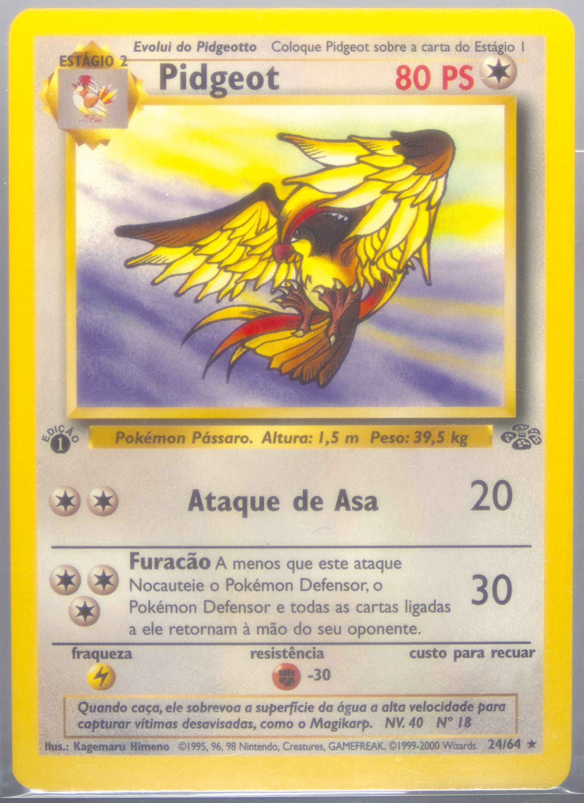 Pidgeot 1st Edition (24) 2000 Pokemon Portuguese Jungle