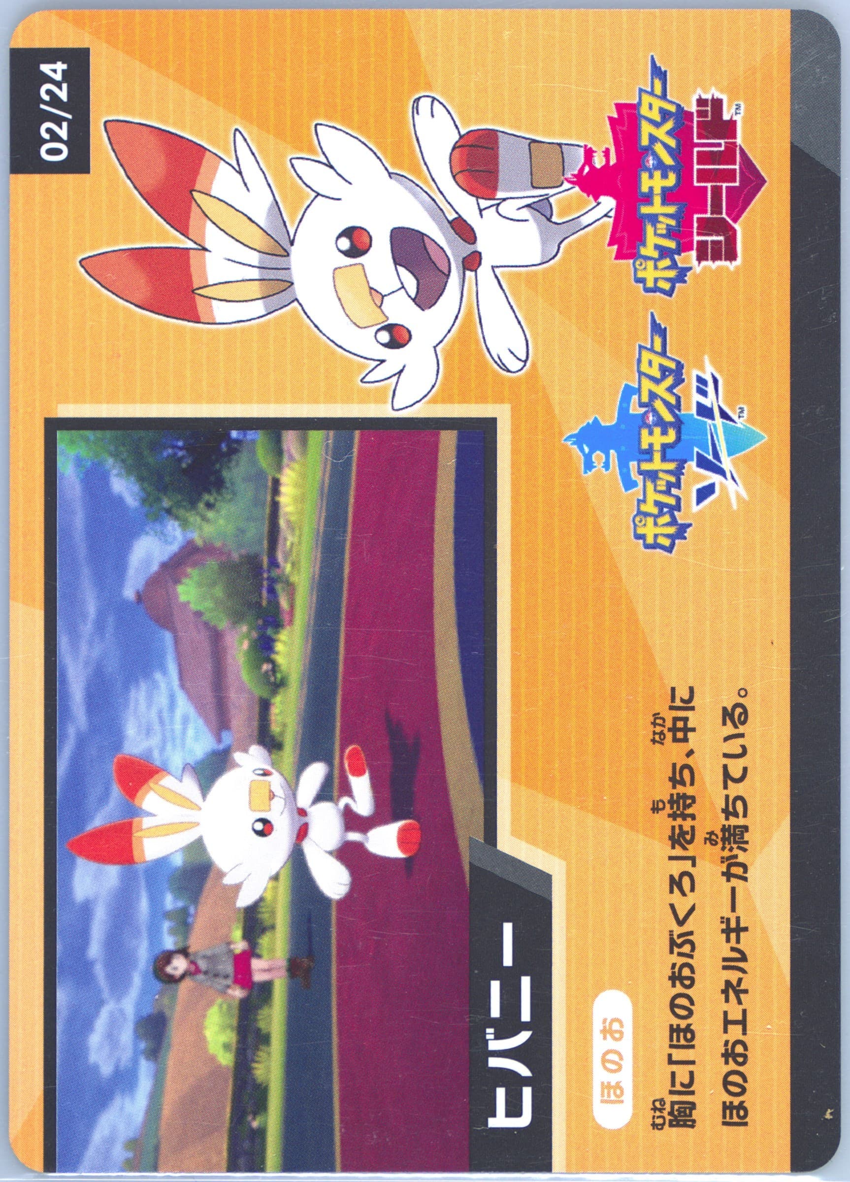 Scorbunny Ad Back (02) 2020 Pokemon Scrap