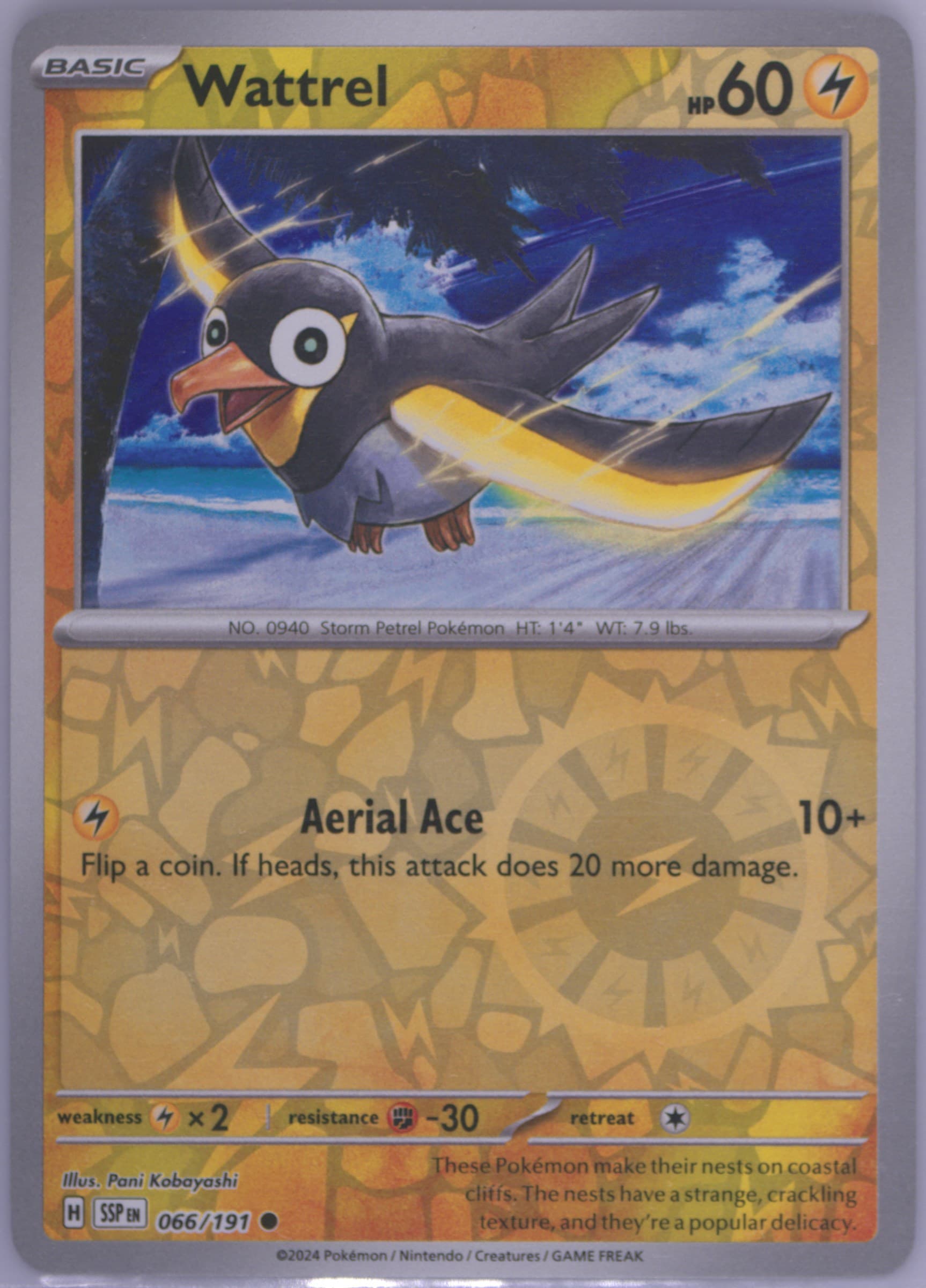 Wattrel Reverse Holo (066) 2024 Pokemon Ssp EN-Surging Sparks