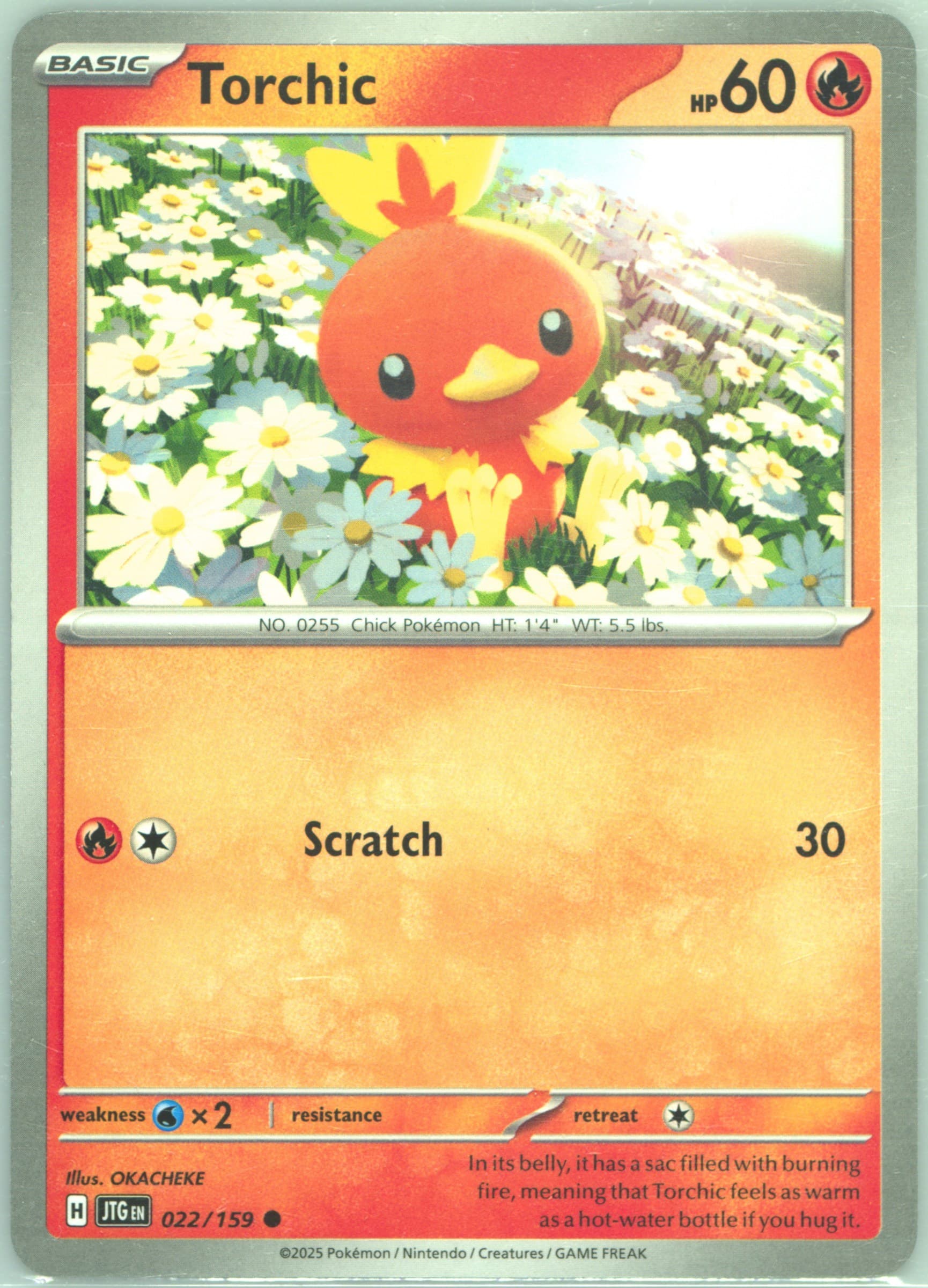 Torchic (022) 2025 Pokemon Jtg EN-Journey Together