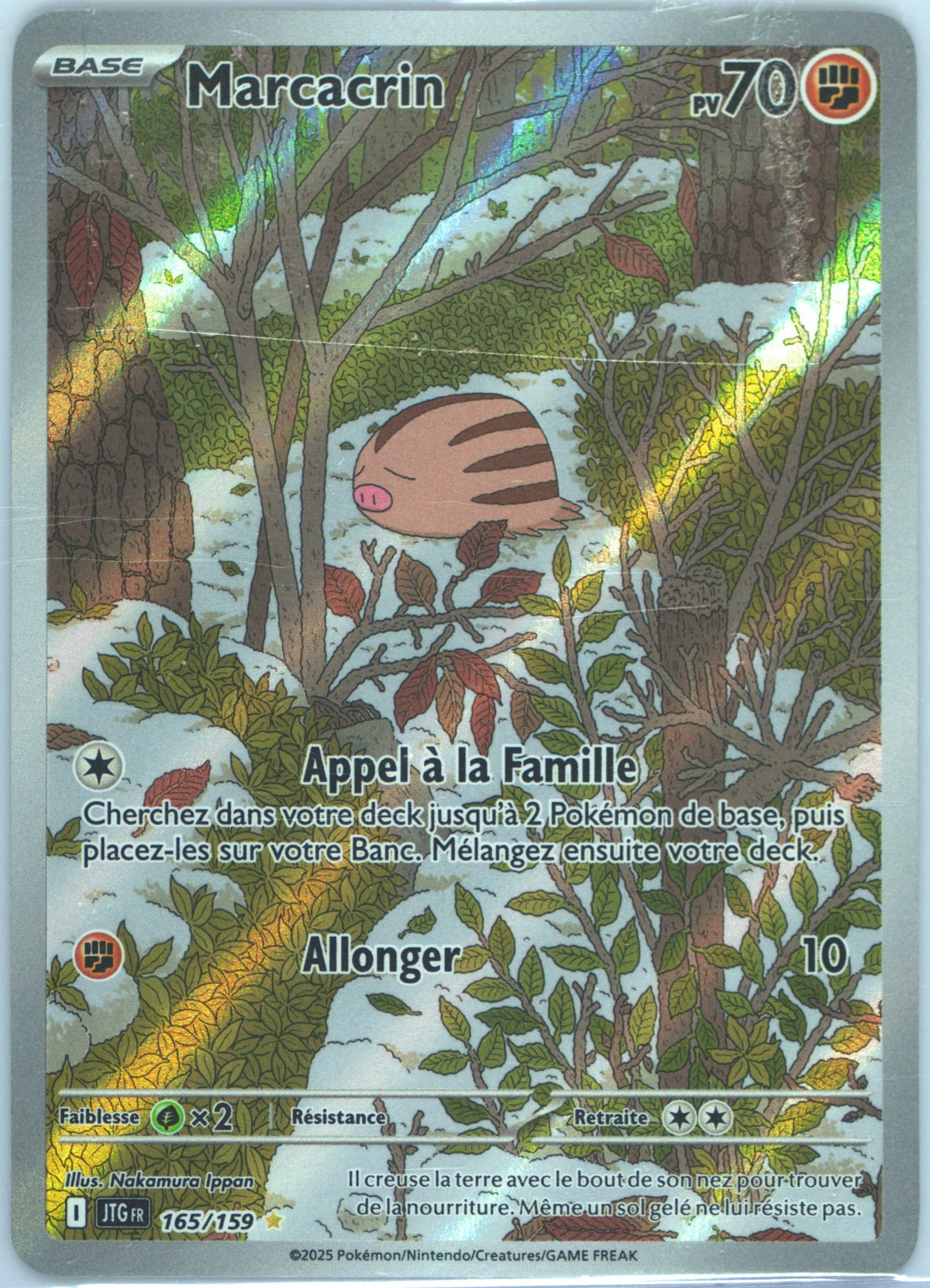 Swinub Illustration Rare (165) 2025 Pokemon French Jtg FR-Journey Together