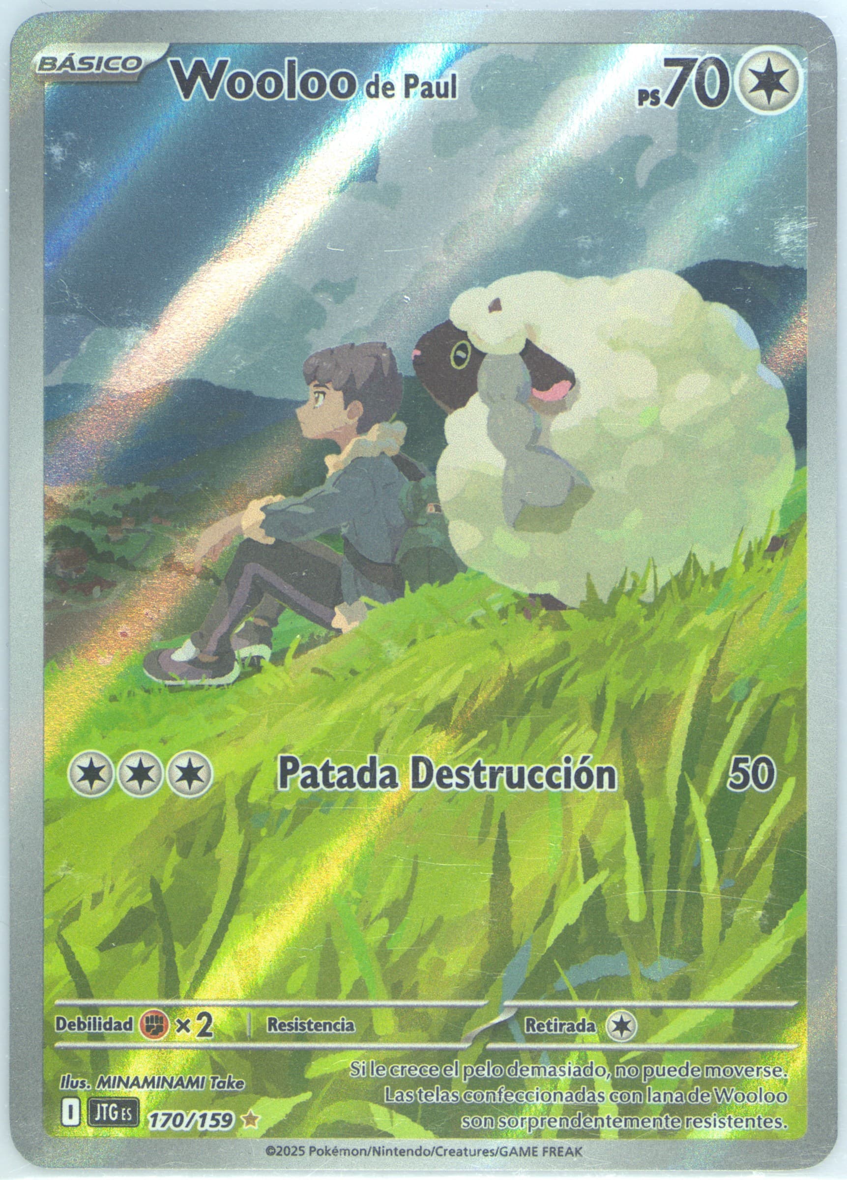 Hop's Wooloo Illustration Rare (170) 2025 Pokemon Spanish Jtg ES-Journey Together