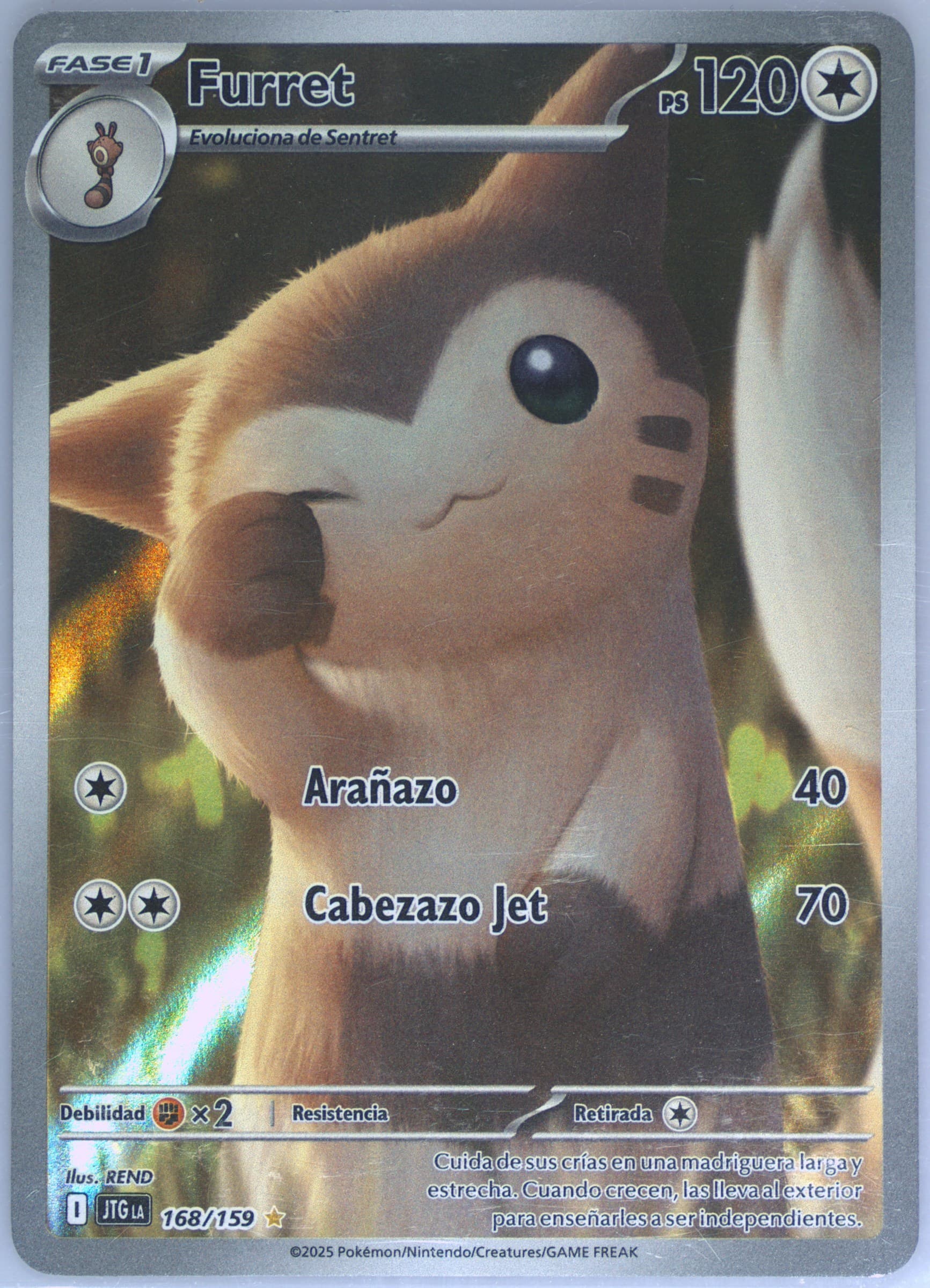 Furret Illustration Rare (168) 2025 Pokemon Latin American Jtg La-Journey Together