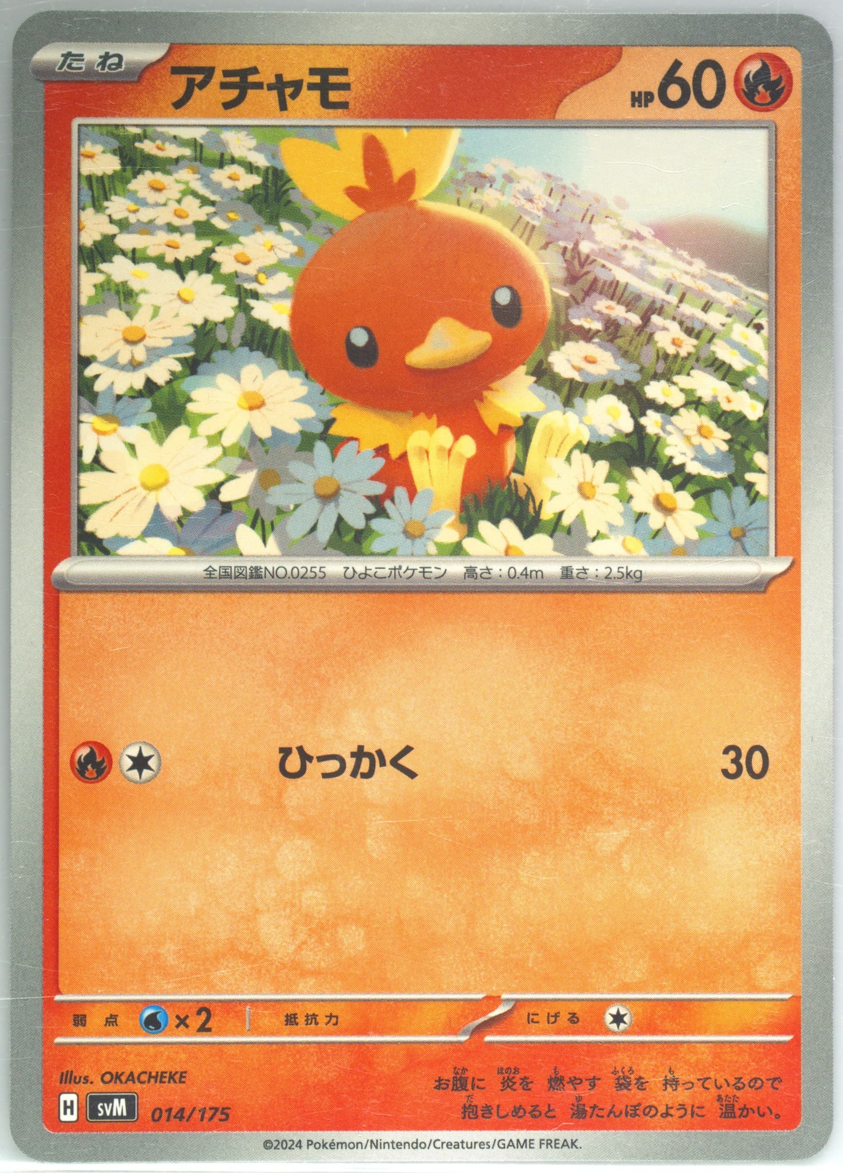 Torchic (014) 2024 Pokemon Japanese Svm-Start Deck Generations