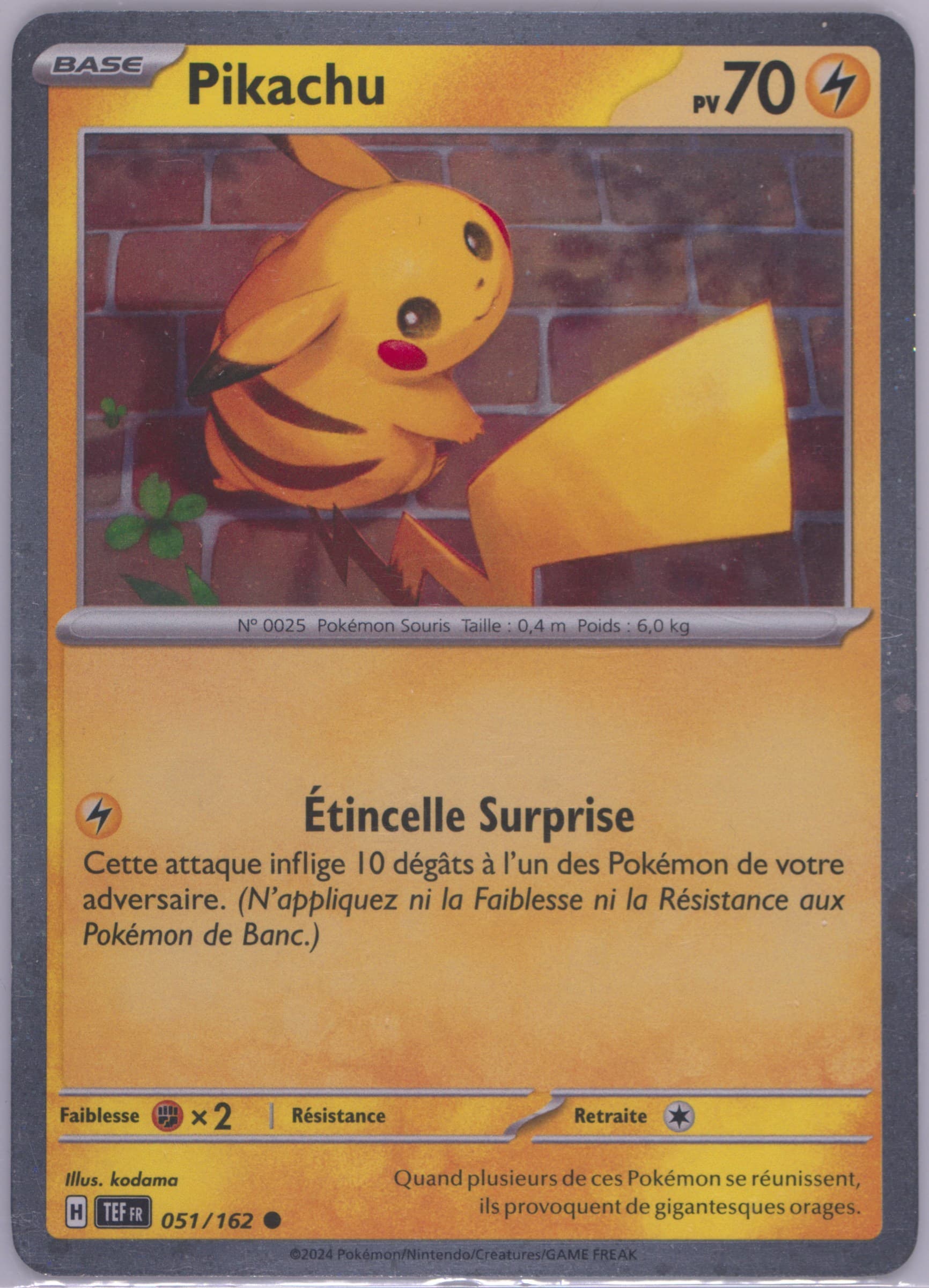 Pikachu Fall Collector Chest (051) 2024 Pokemon French Tef FR-Temporal Forces