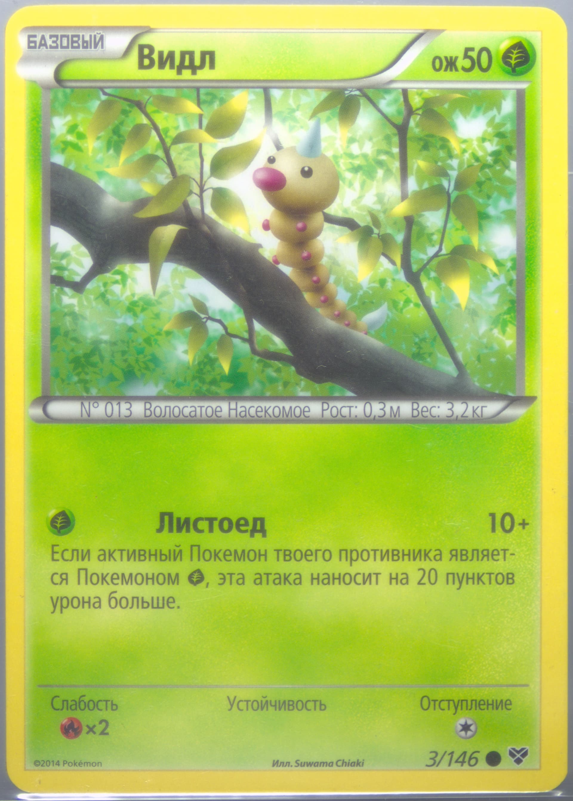 Weedle Russian (3) 2014 Pokemon XY