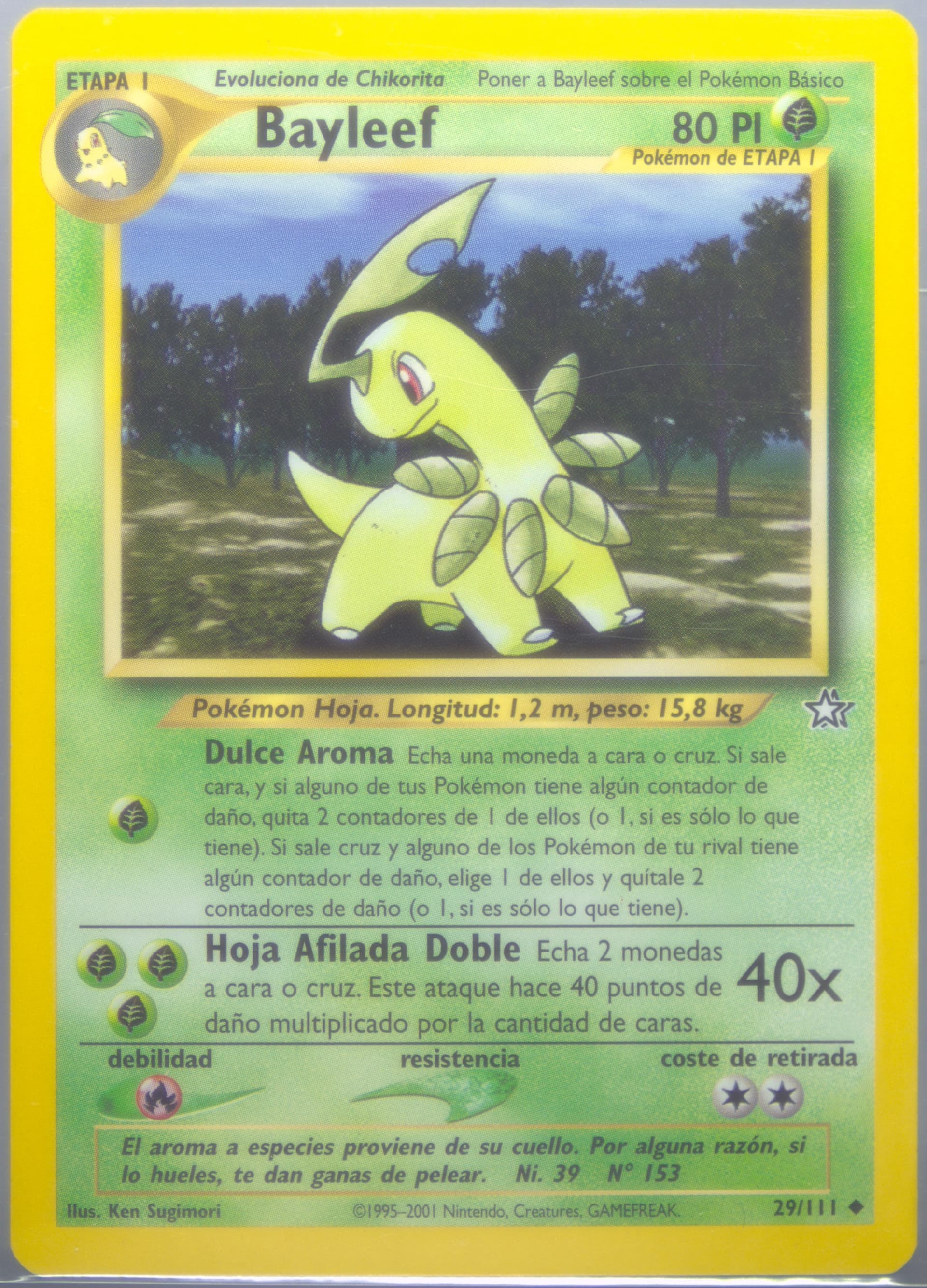 Bayleef (29) 2001 Pokemon Spanish Neo Genesis