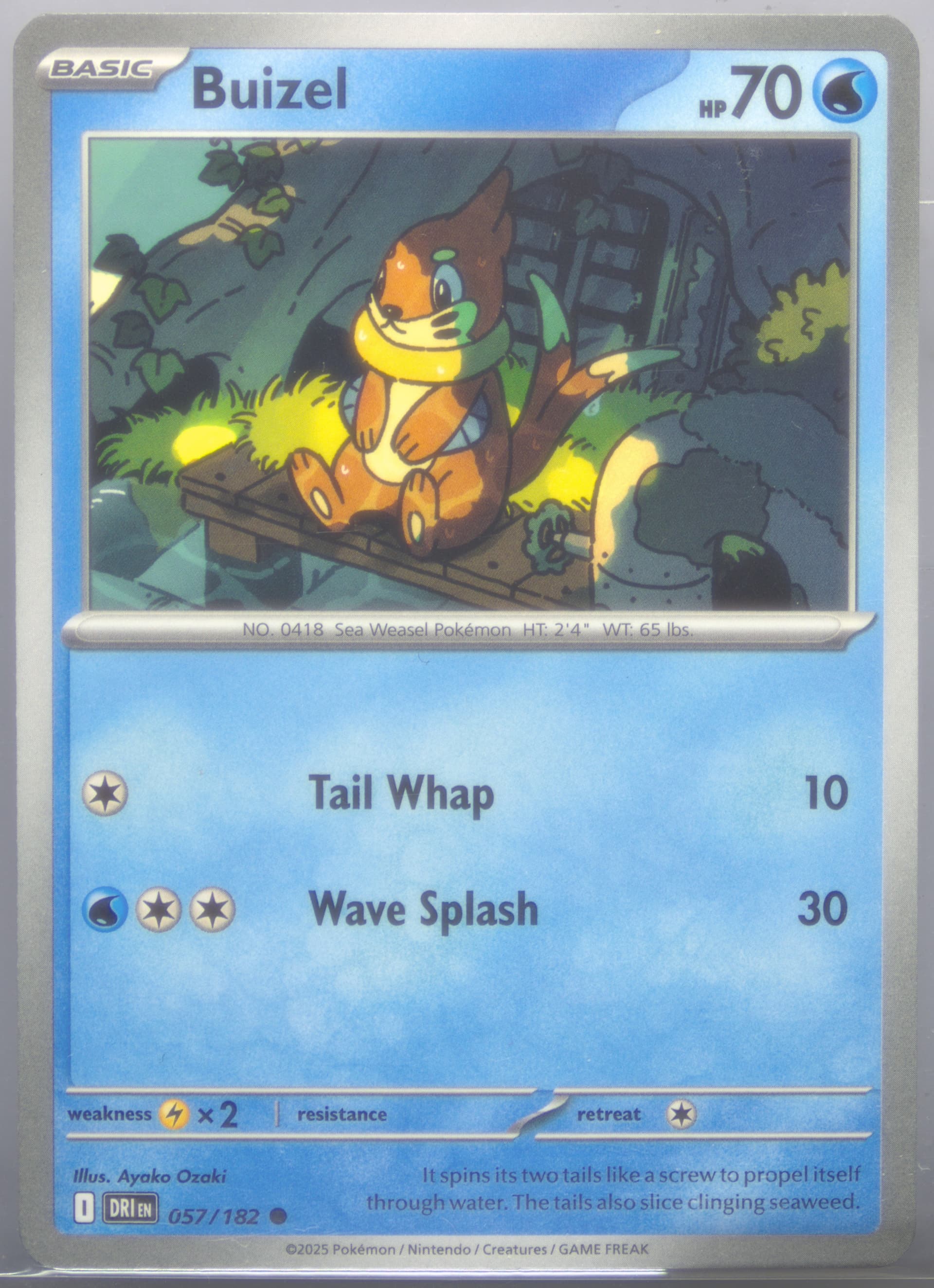 Buizel (057) 2025 Pokemon Dri EN-Destined Rivals