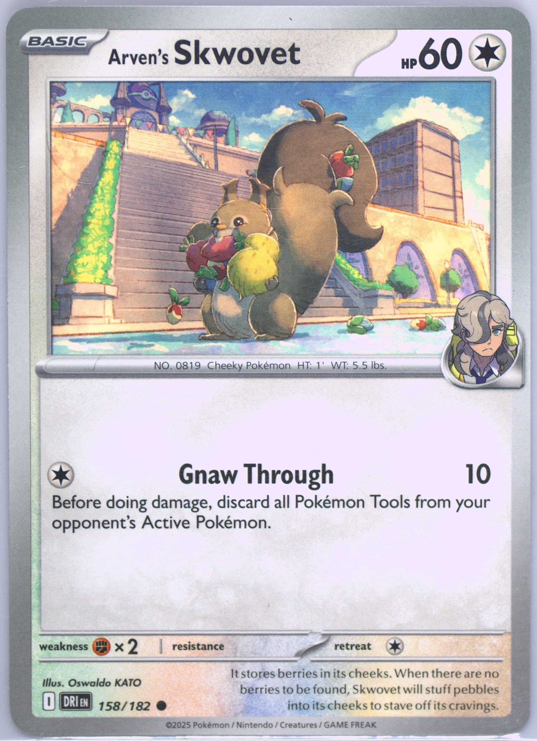 Arven's Skwovet (158) 2025 Pokemon Dri EN-Destined Rivals