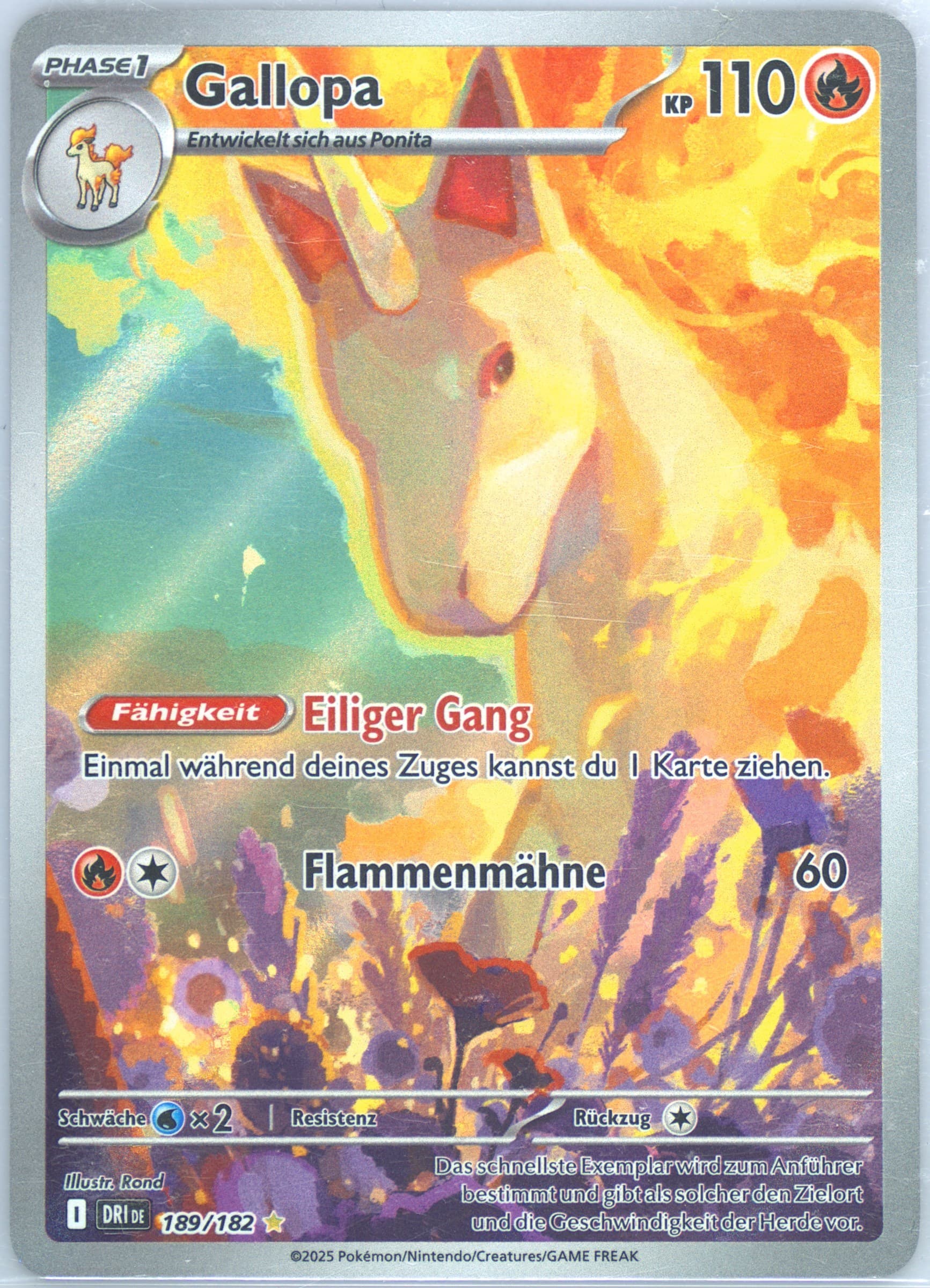 Rapidash Illustration Rare (189) 2025 Pokemon German Dri de-Destined Rivals