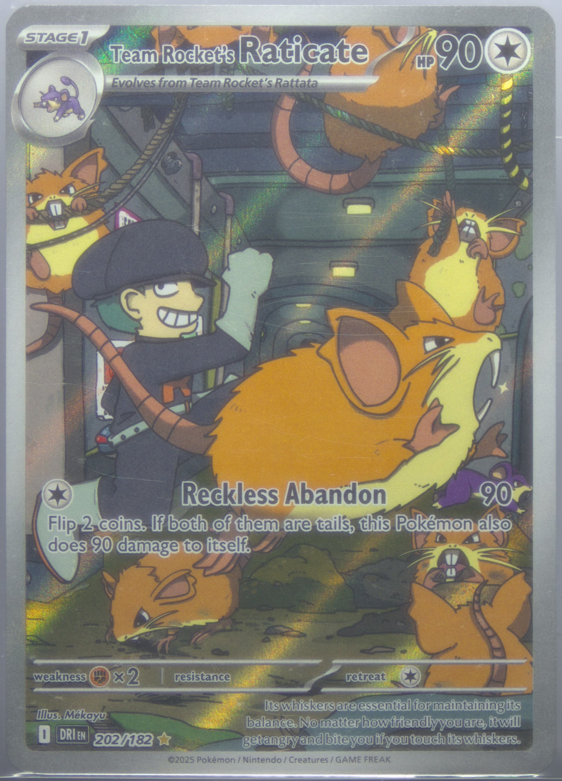 Team Rocket's Raticate Illustration Rare (202) 2025 Pokemon German Dri de-Destined Rivals