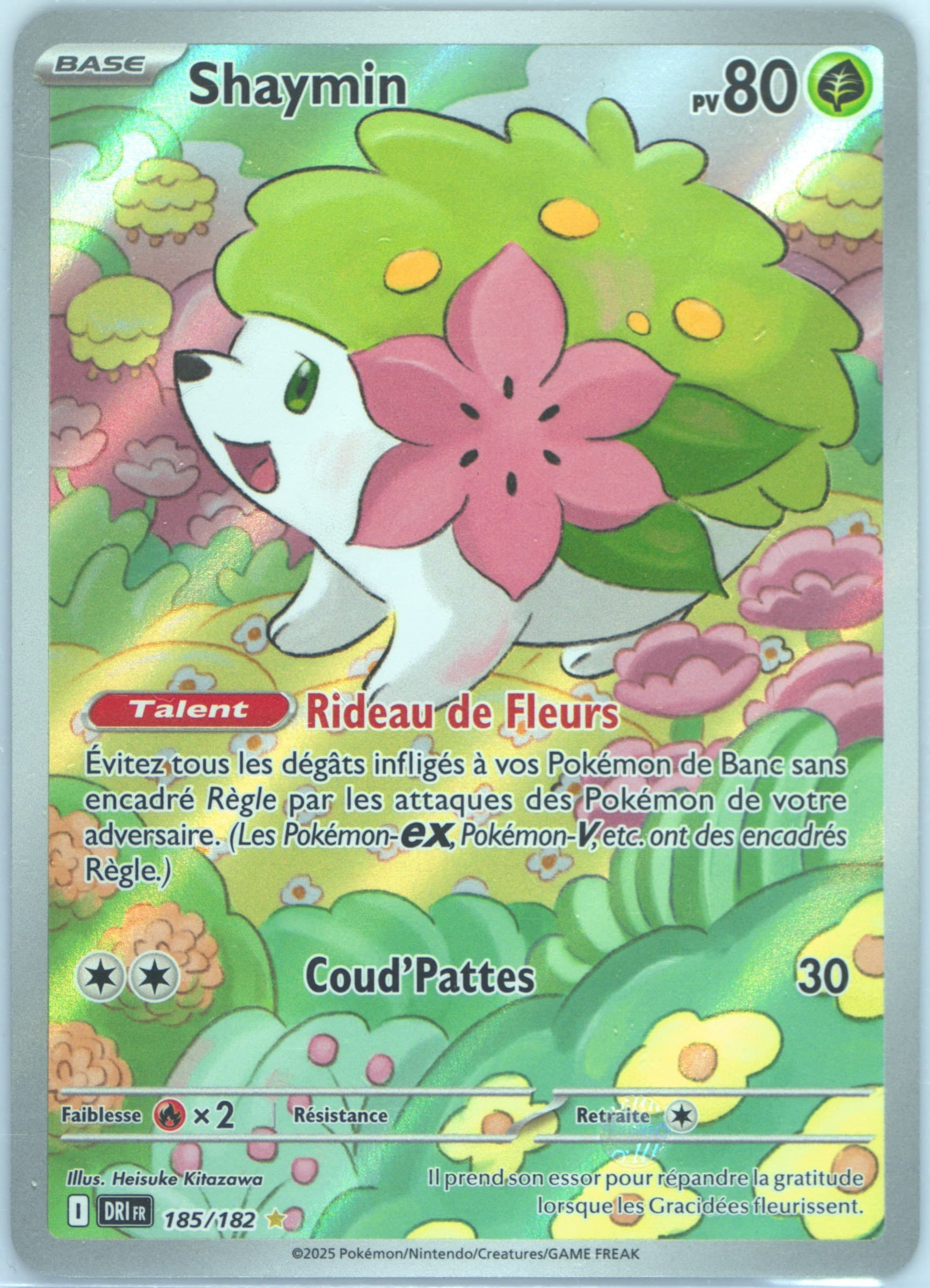 Shaymin Illustration Rare (185) 2025 Pokemon French Dri FR-Destined Rivals