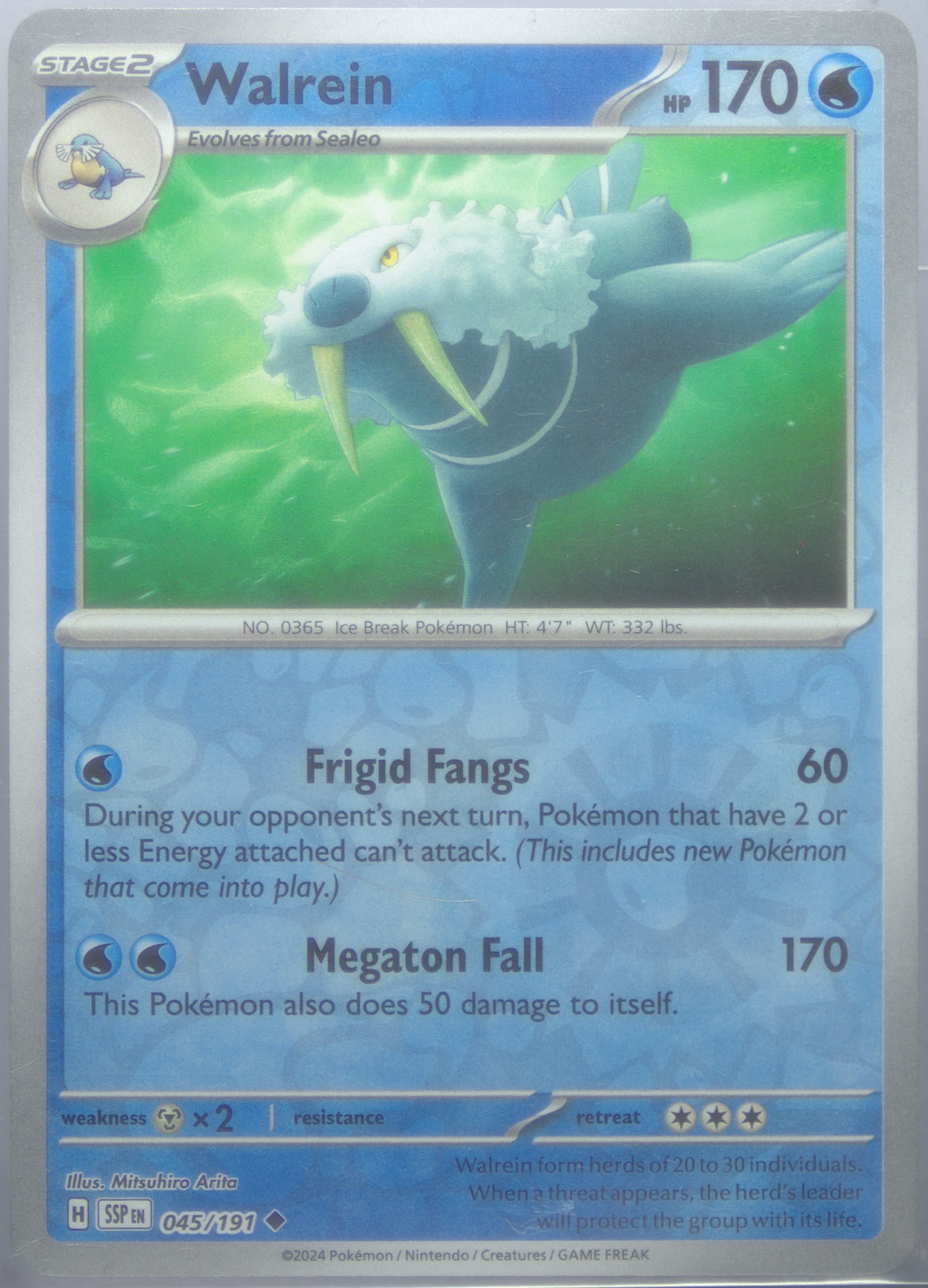 Walrein Reverse Holo (045) 2024 Pokemon Ssp EN-Surging Sparks