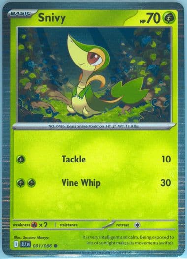 Snivy (001) 2025 Pokemon Japanese Sv11b-Black Bolt