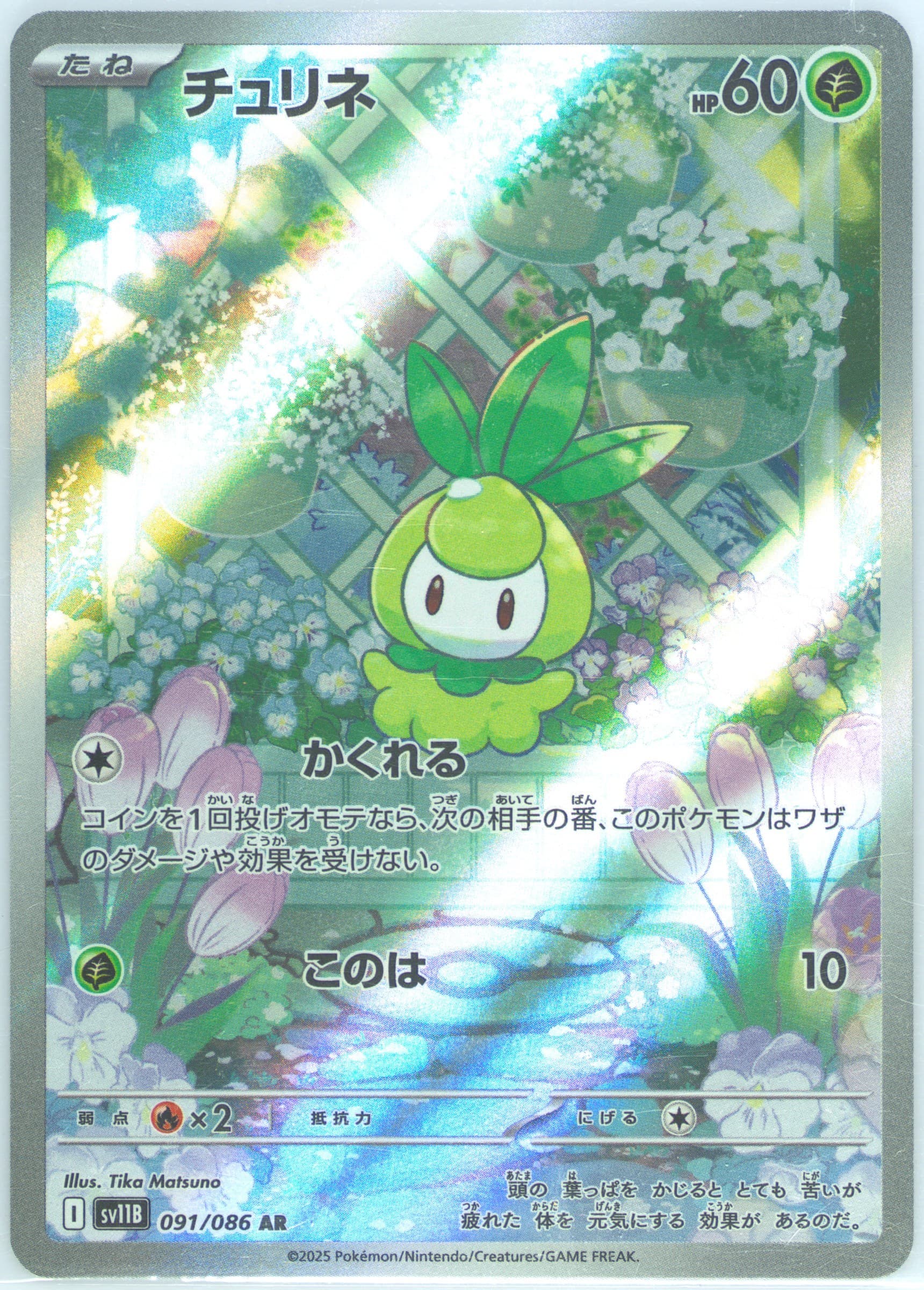 Petilil Art Rare (091) 2025 Pokemon Japanese Sv11b-Black Bolt