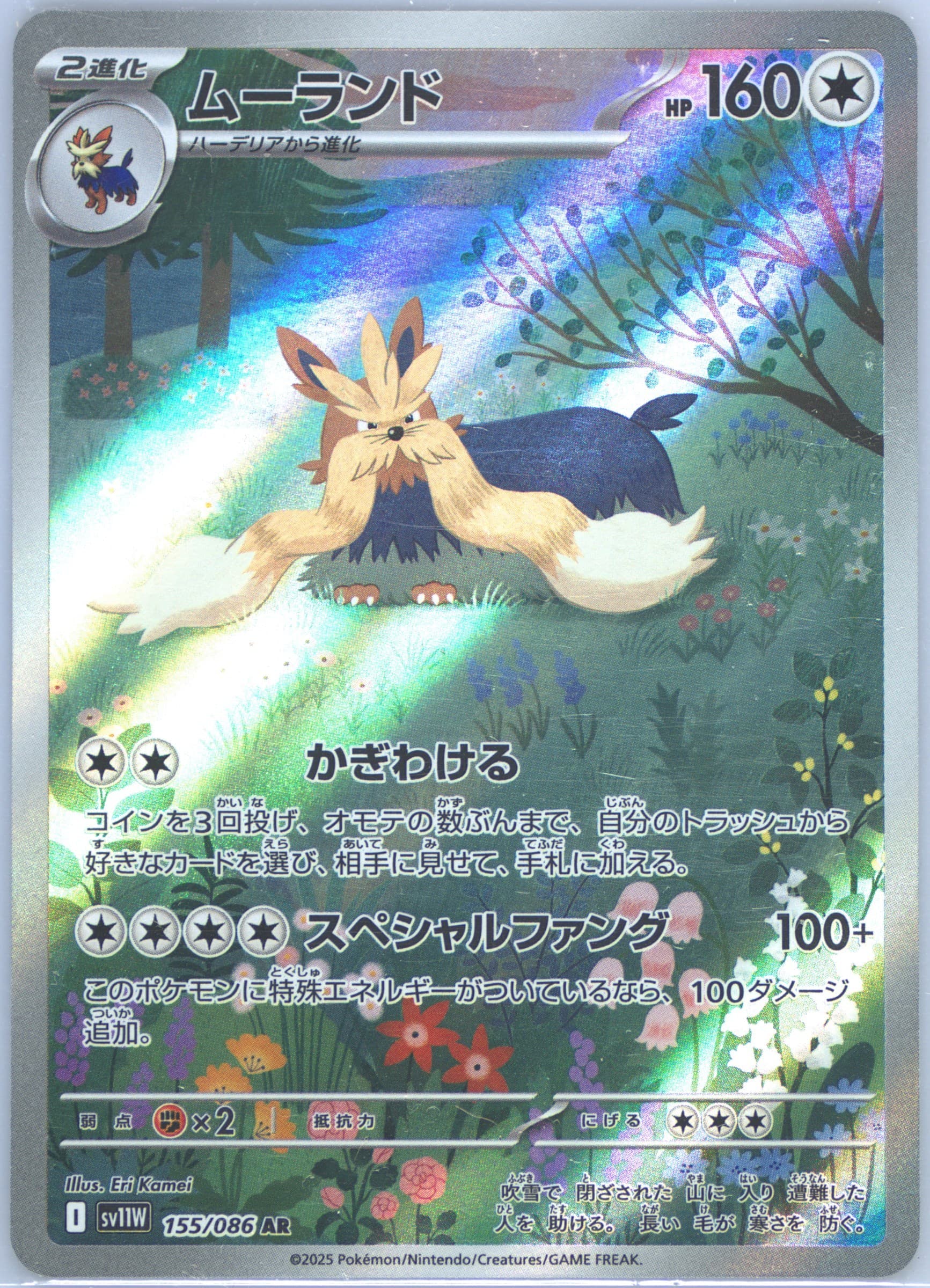 Stoutland Art Rare (155) 2025 Pokemon Japanese Sv11w-White Flare