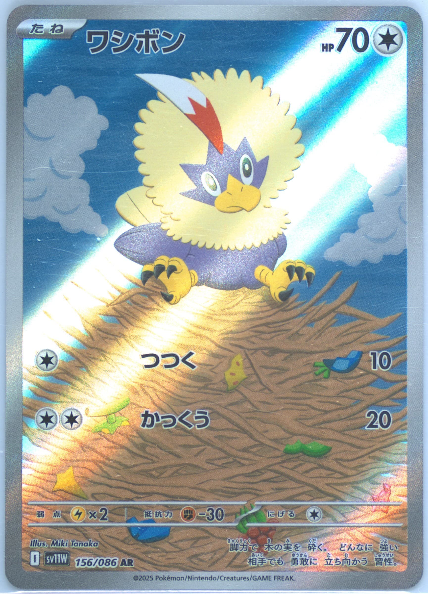 Rufflet Art Rare (156) 2025 Pokemon Japanese Sv11w-White Flare
